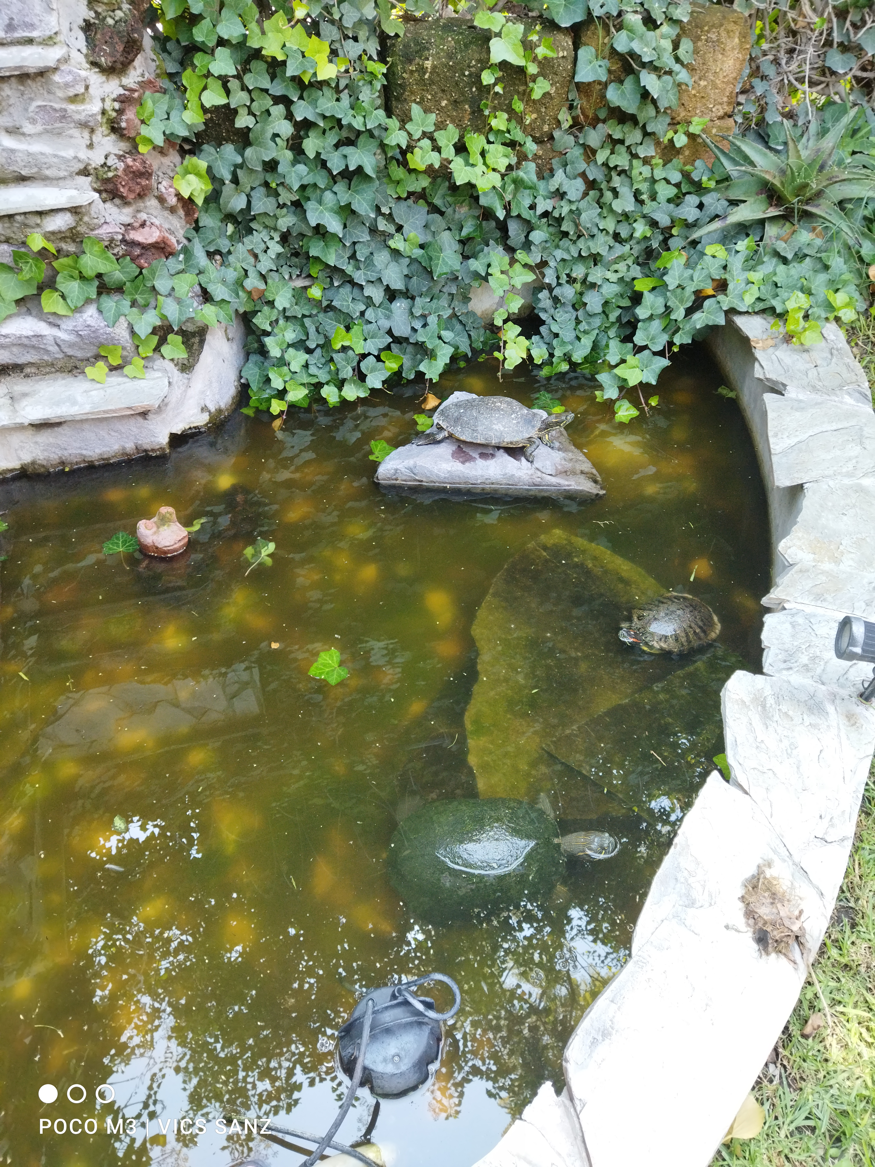 Restaurante " LOS TENANGOS" image 6