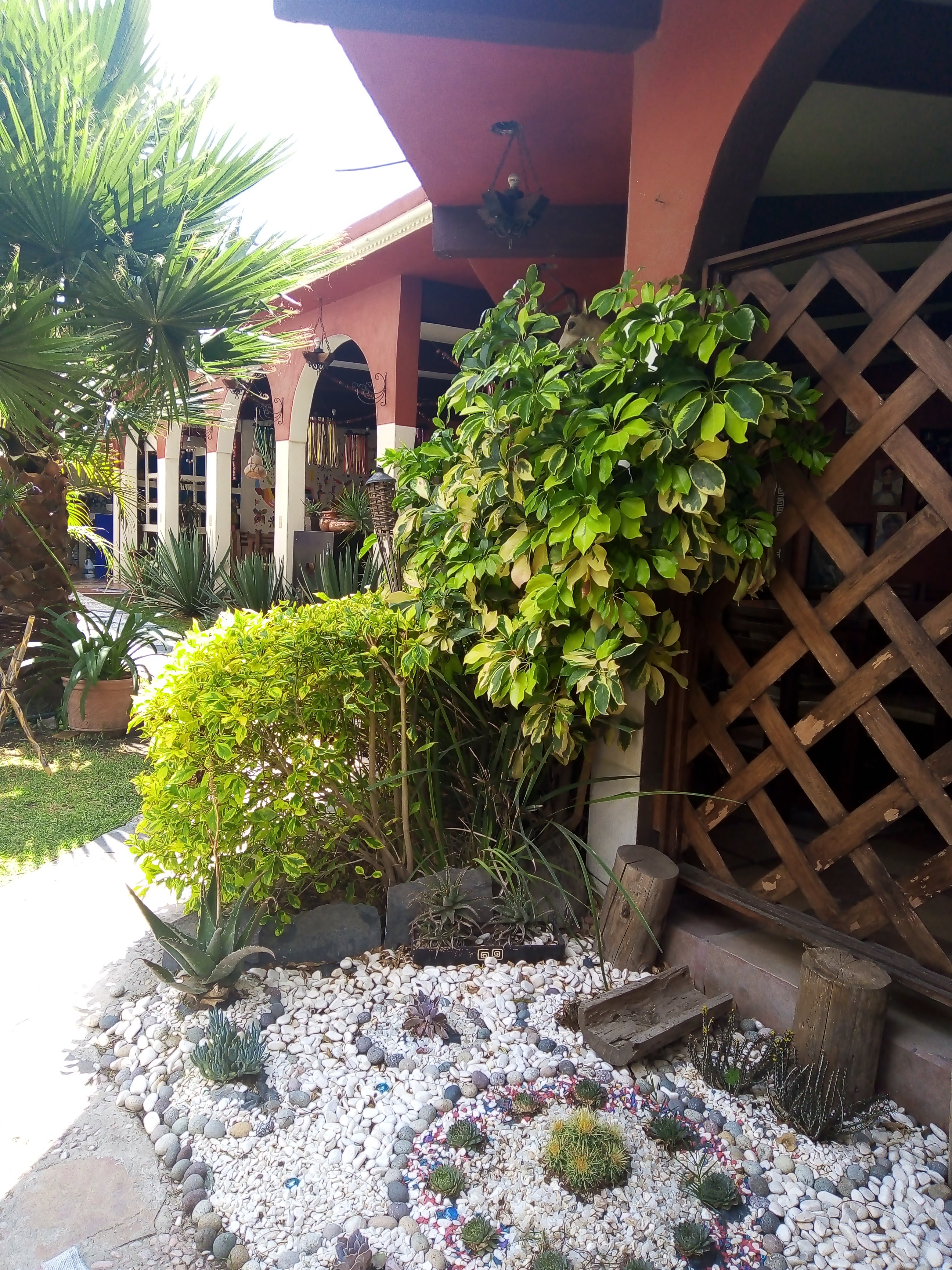 Restaurante " LOS TENANGOS" image 9