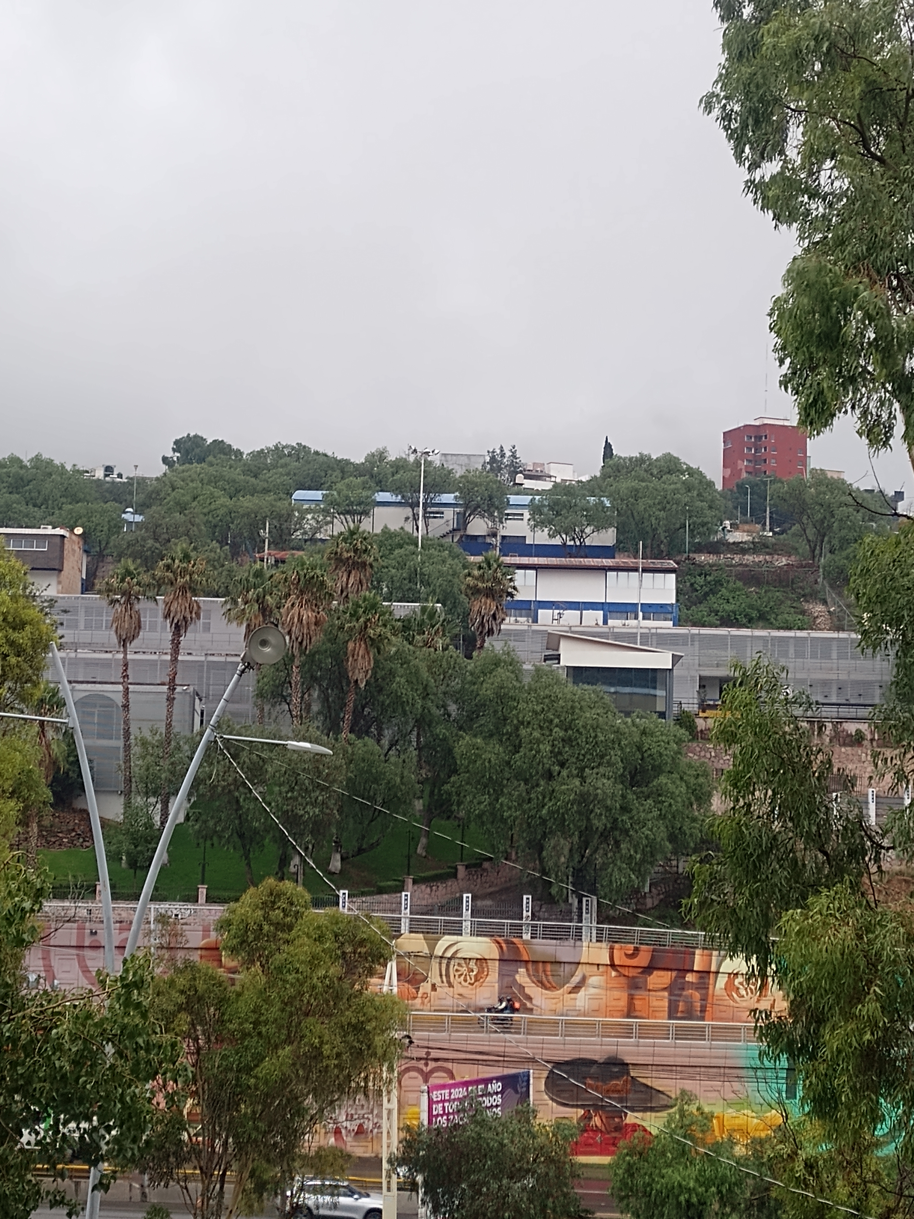 Mariscos la Chiripa image 4