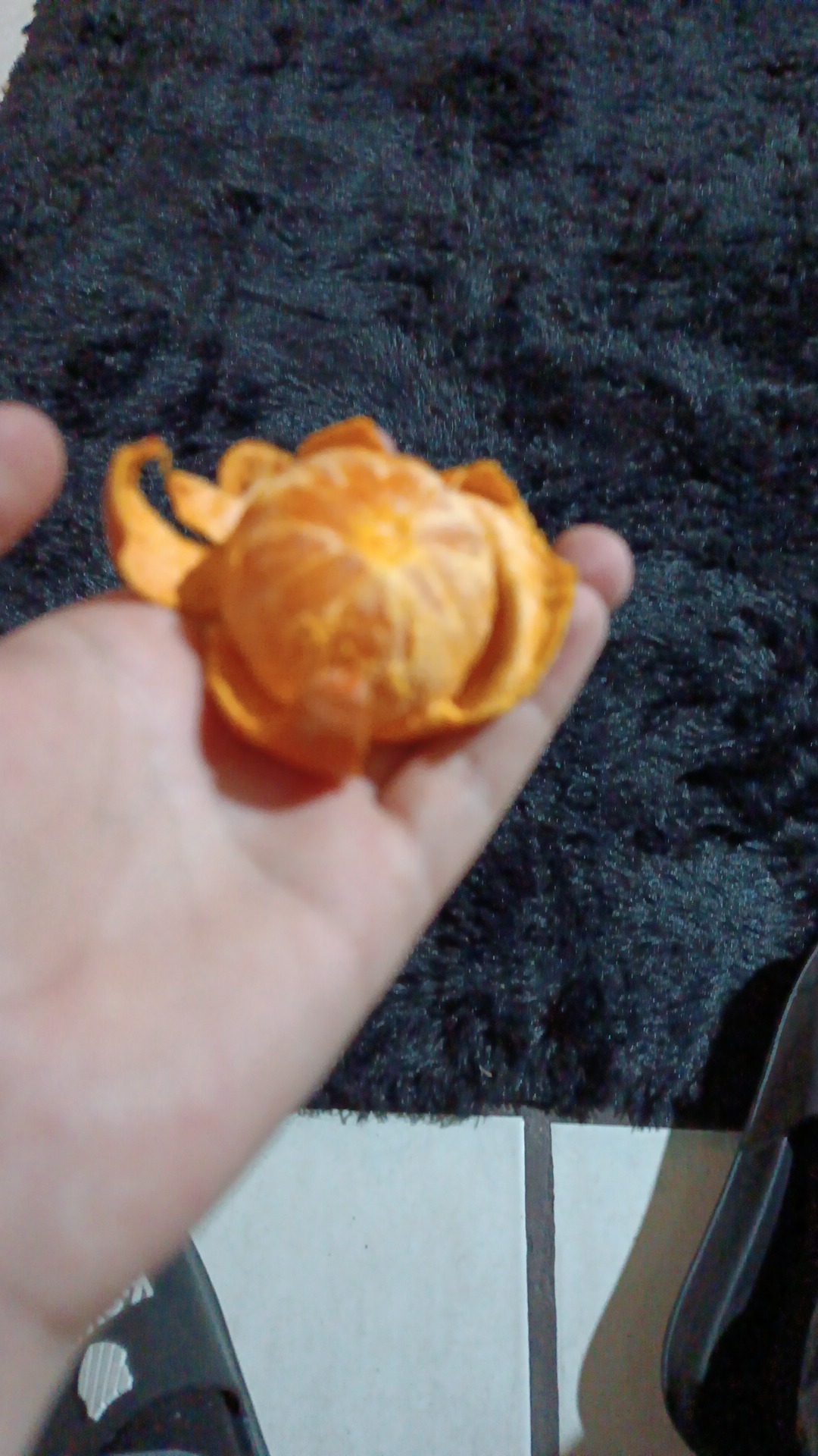 Rosticeria El Forastero image 4