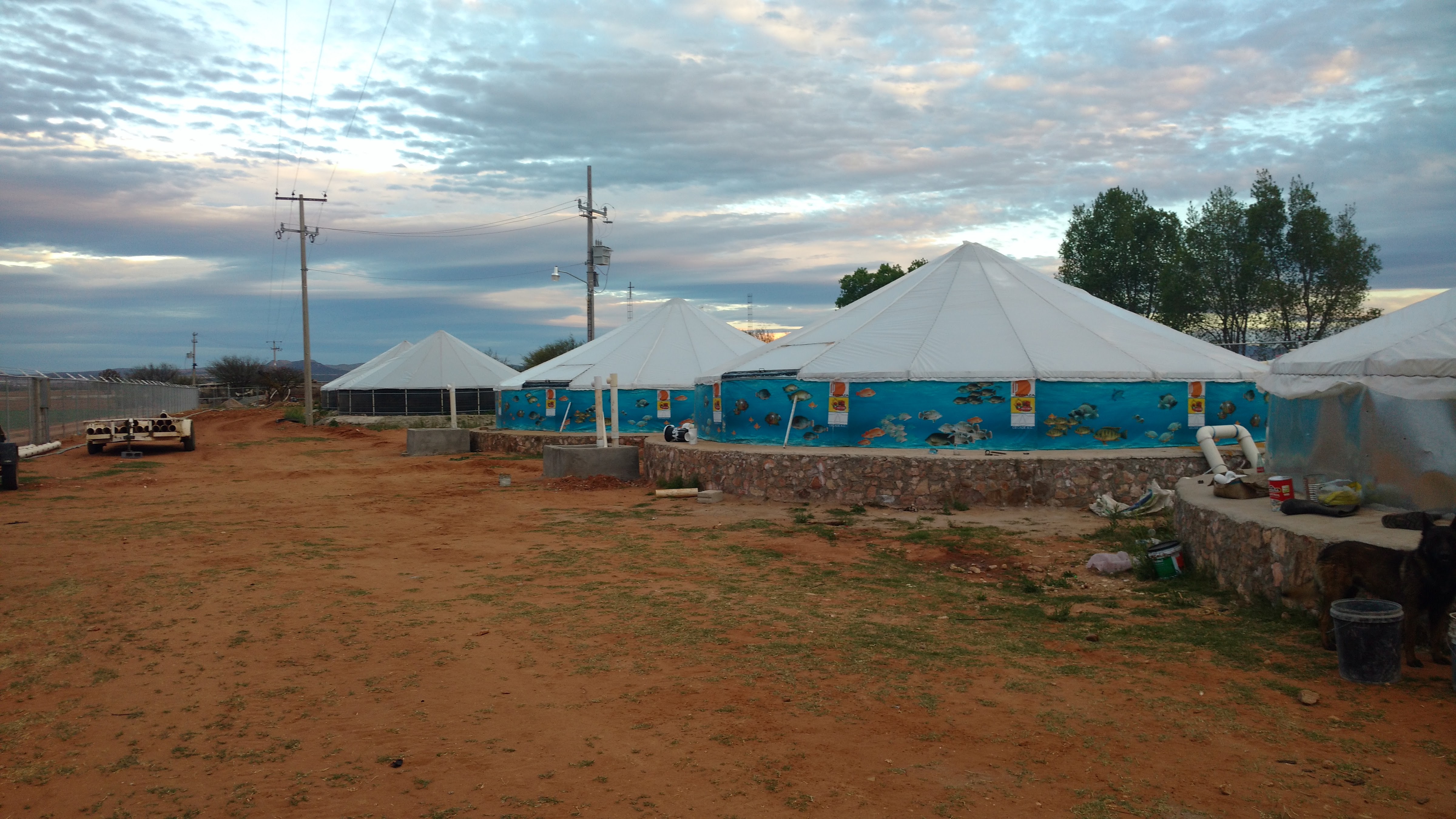 Granja Granada " Mexico De Mis Sabores" image 7