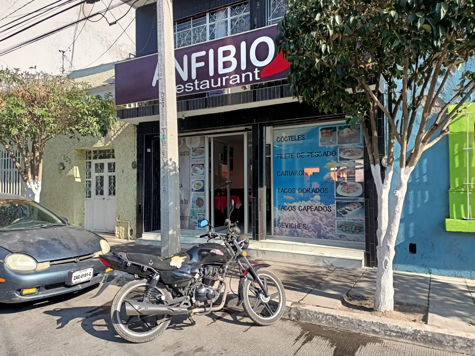 Anfibio Restaurant image 1