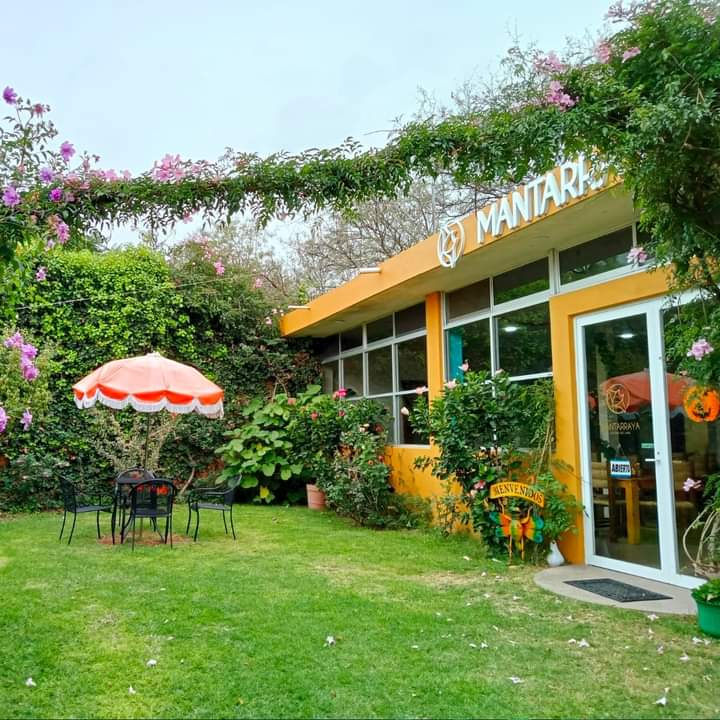 Mantarraya cocina del mar image 5