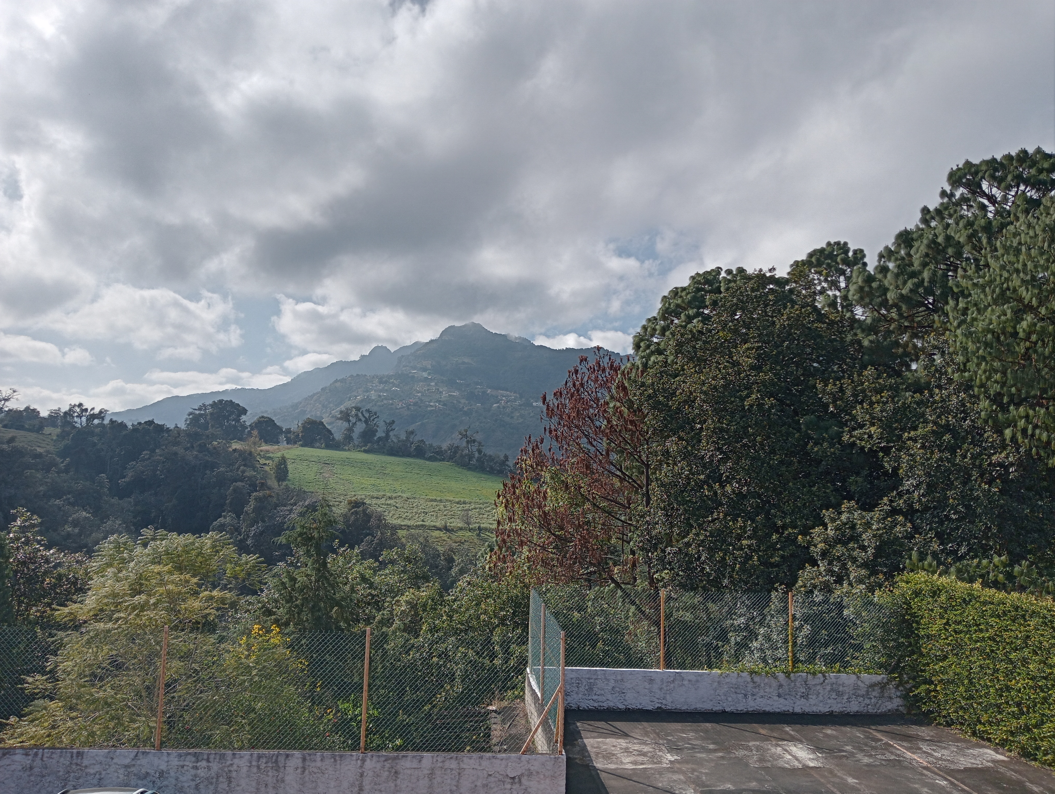 Checo's Grill Restaurant image 5