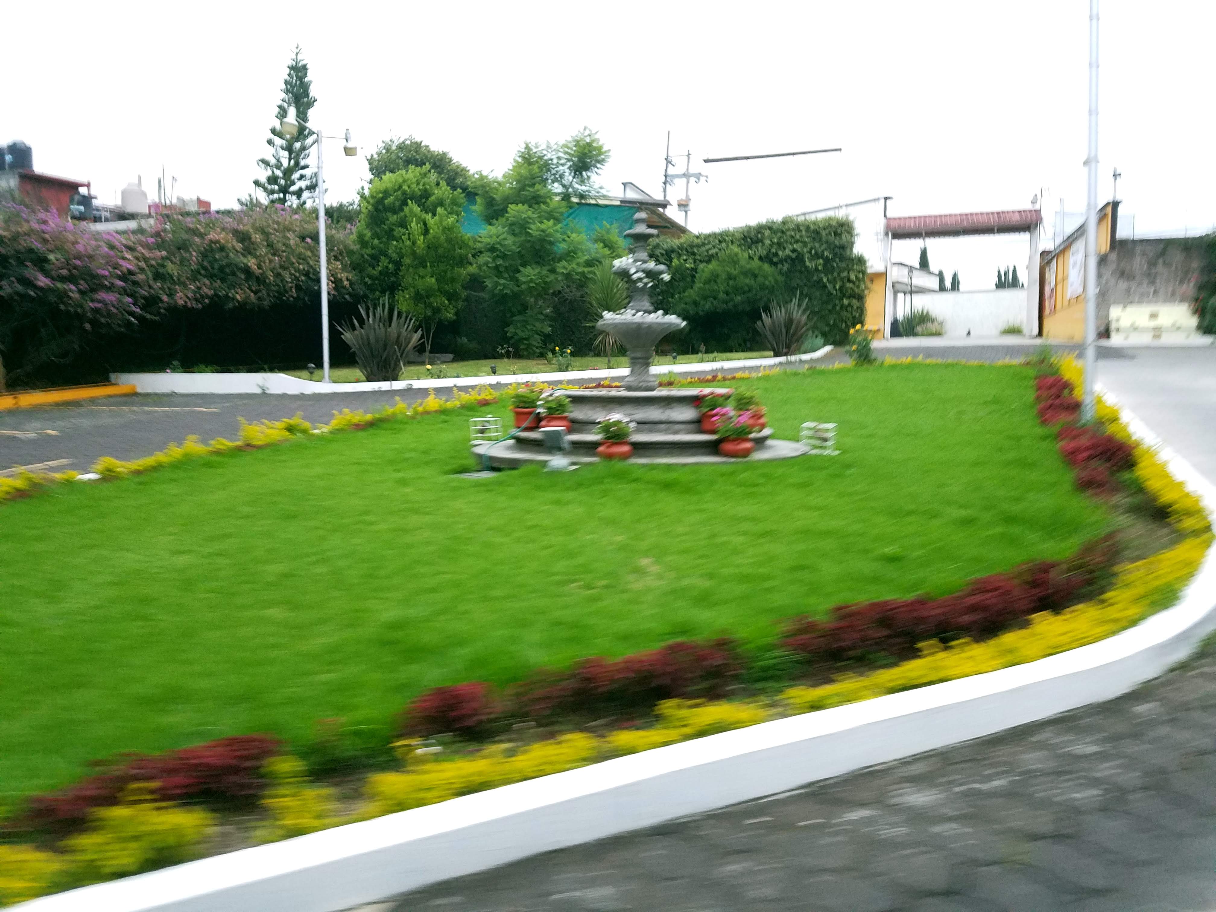 Checo's Grill Restaurant image 9