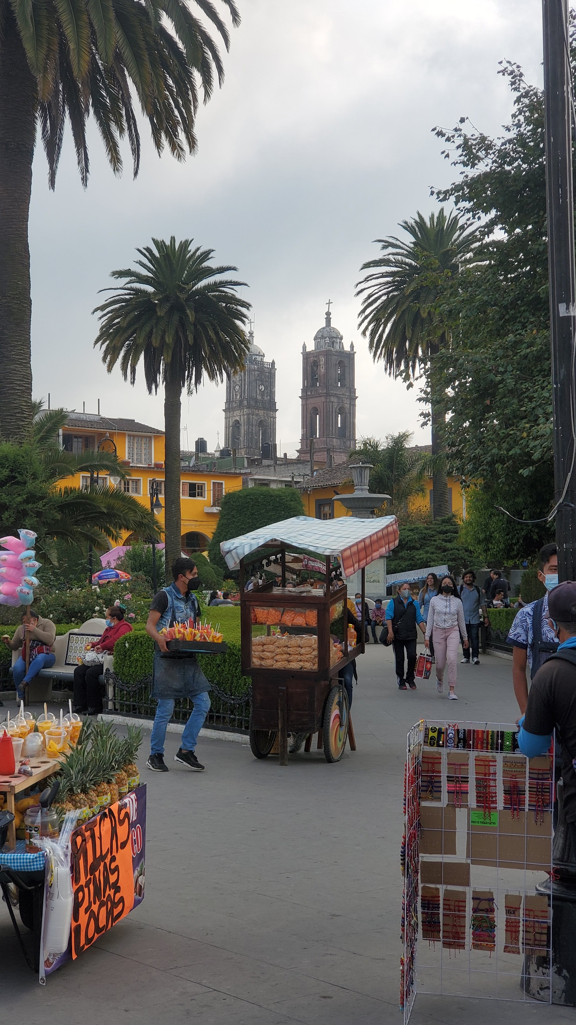 Restaurant Bar Terra image 1