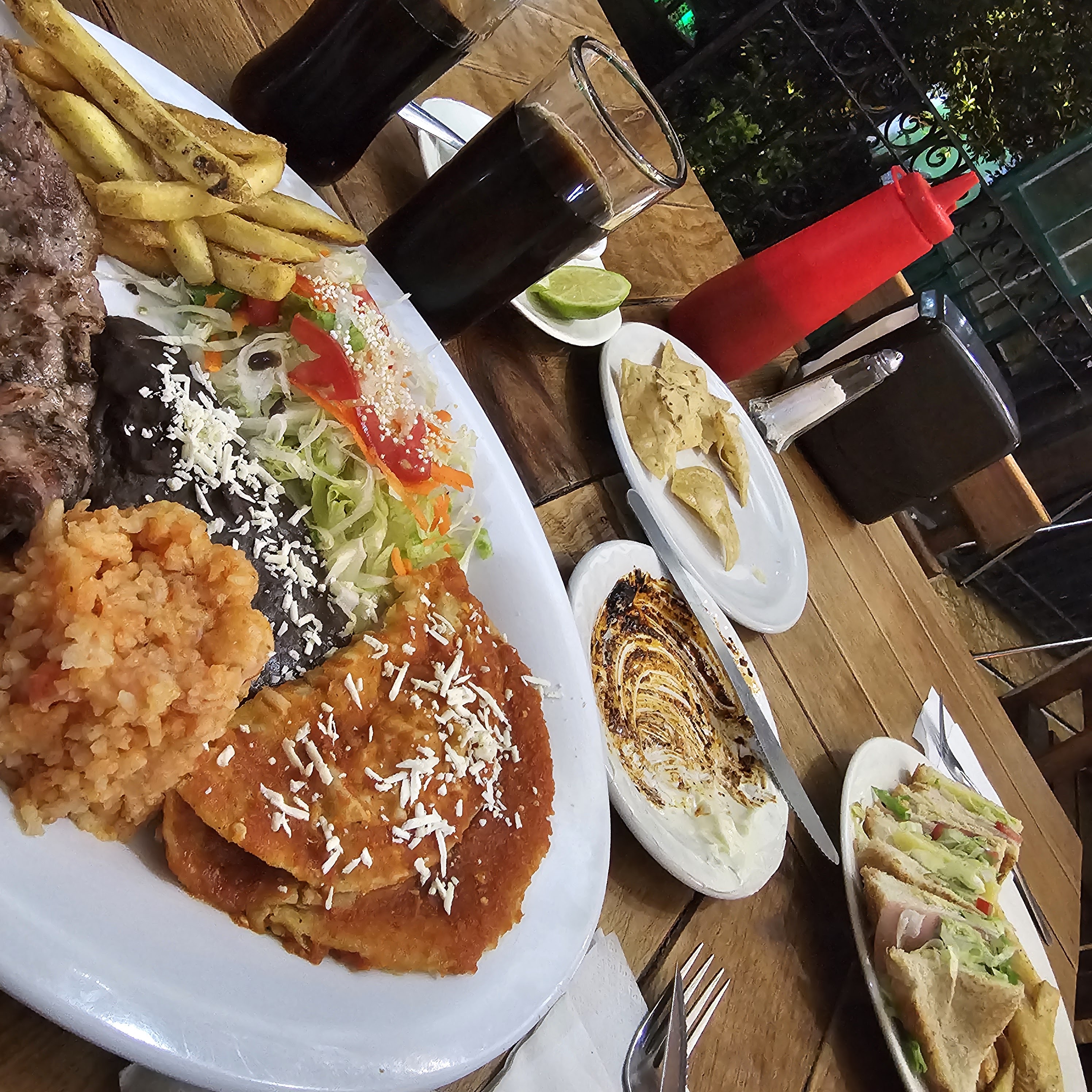 Restaurant Bar Terra image 4