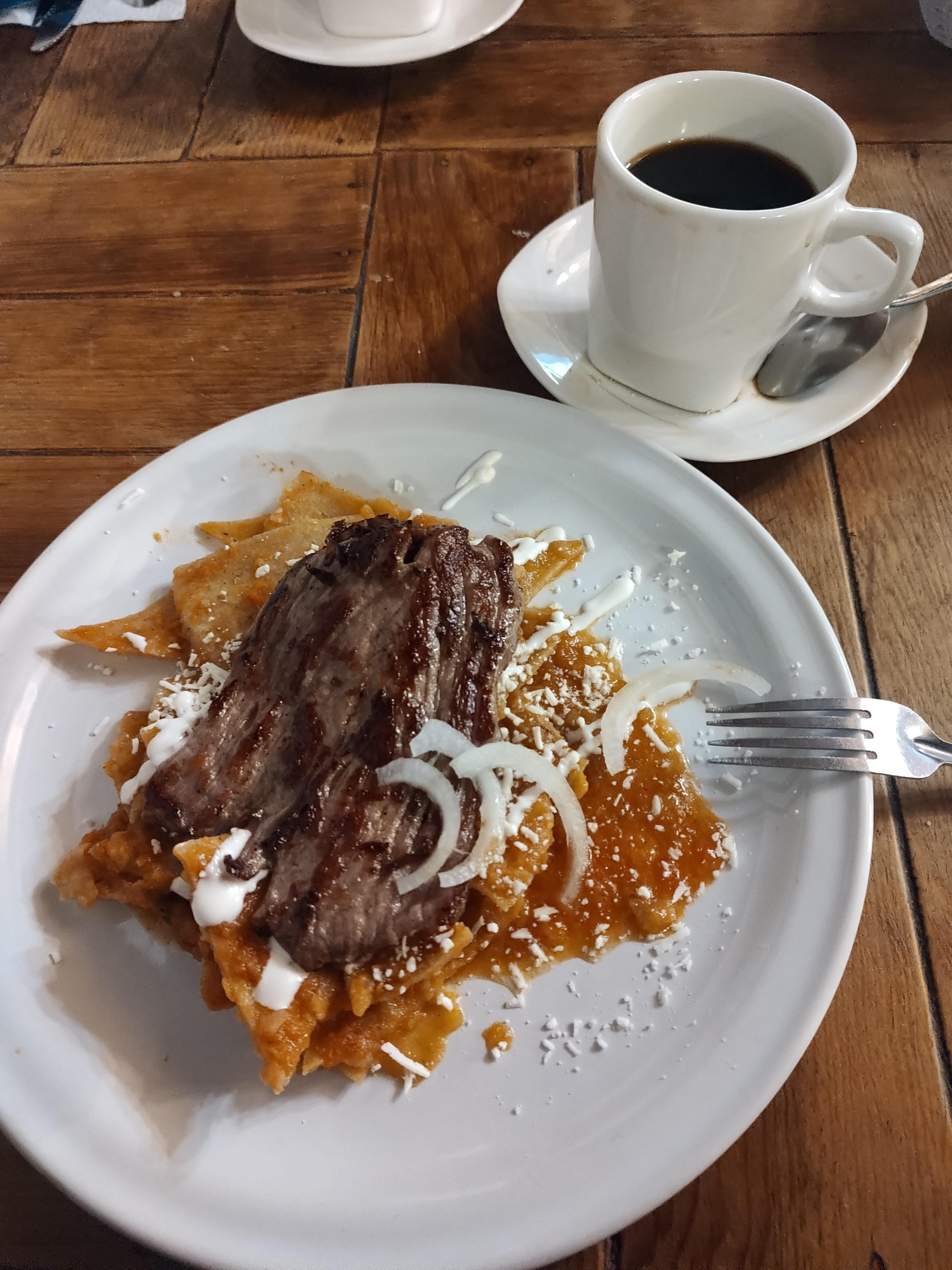 Restaurant Bar Terra image 7