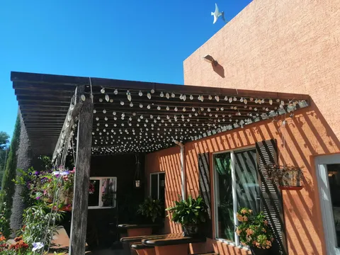 Ah chihuahua image 3