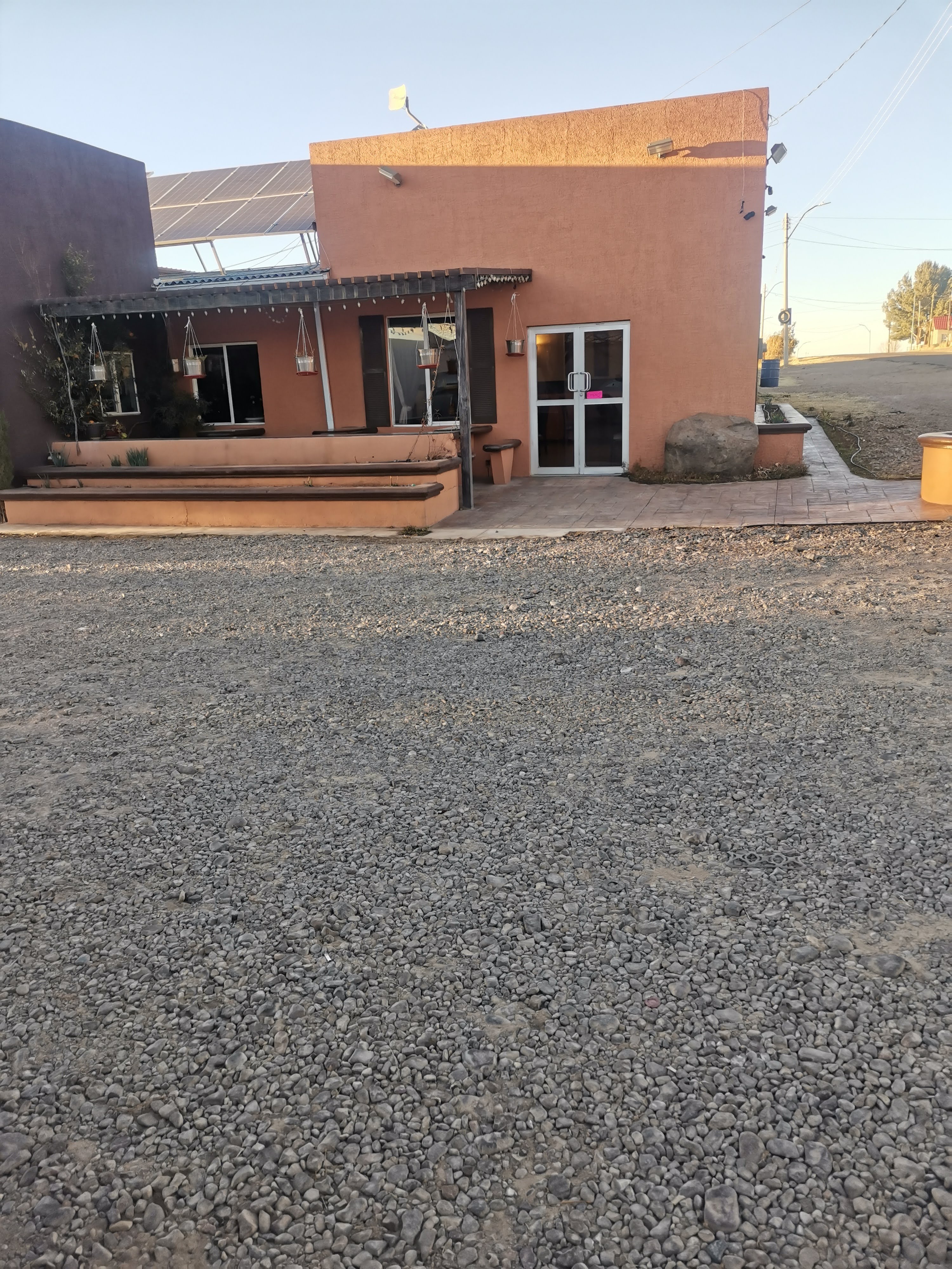 Ah chihuahua image 4