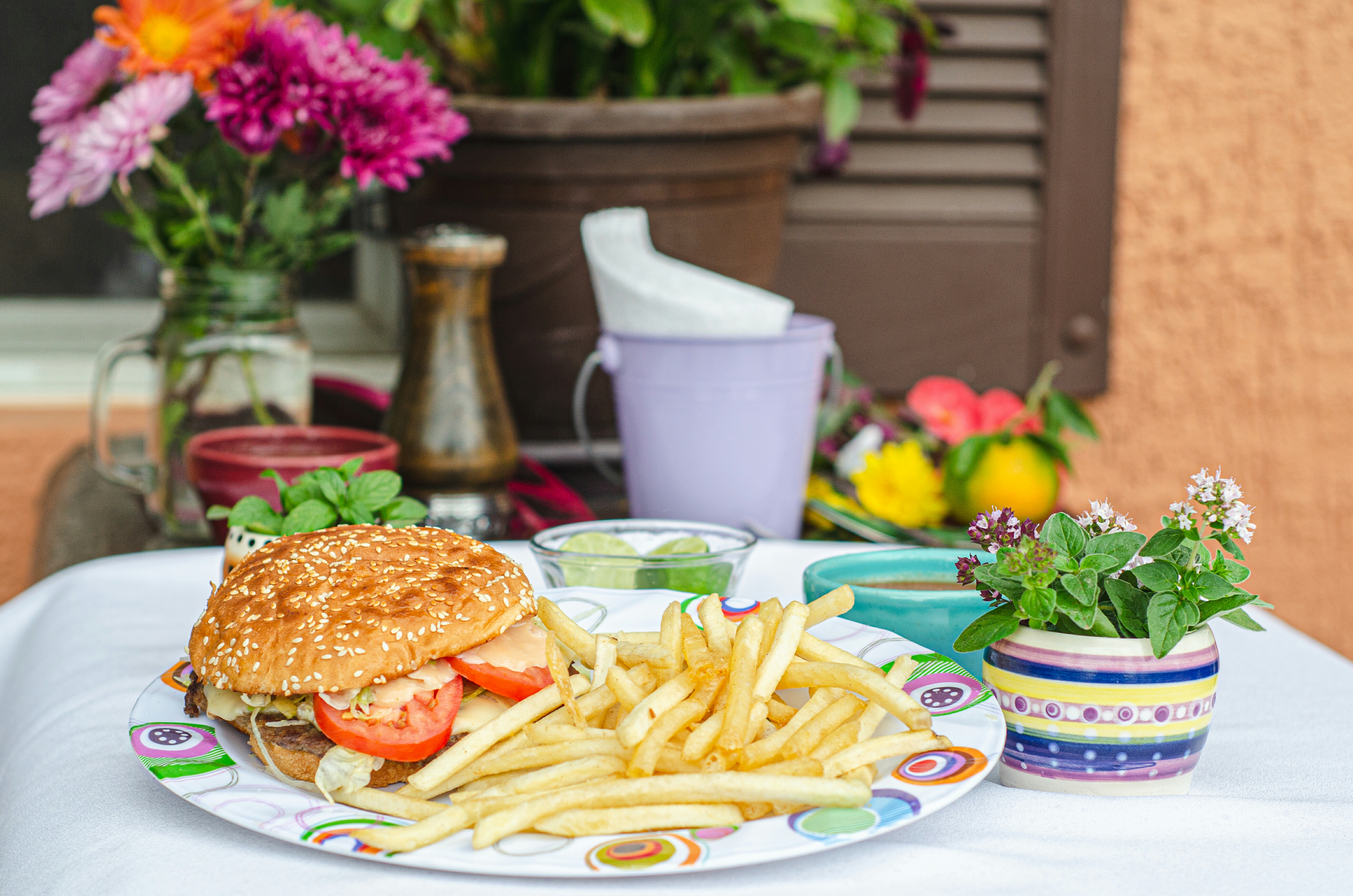 Ah chihuahua image 5