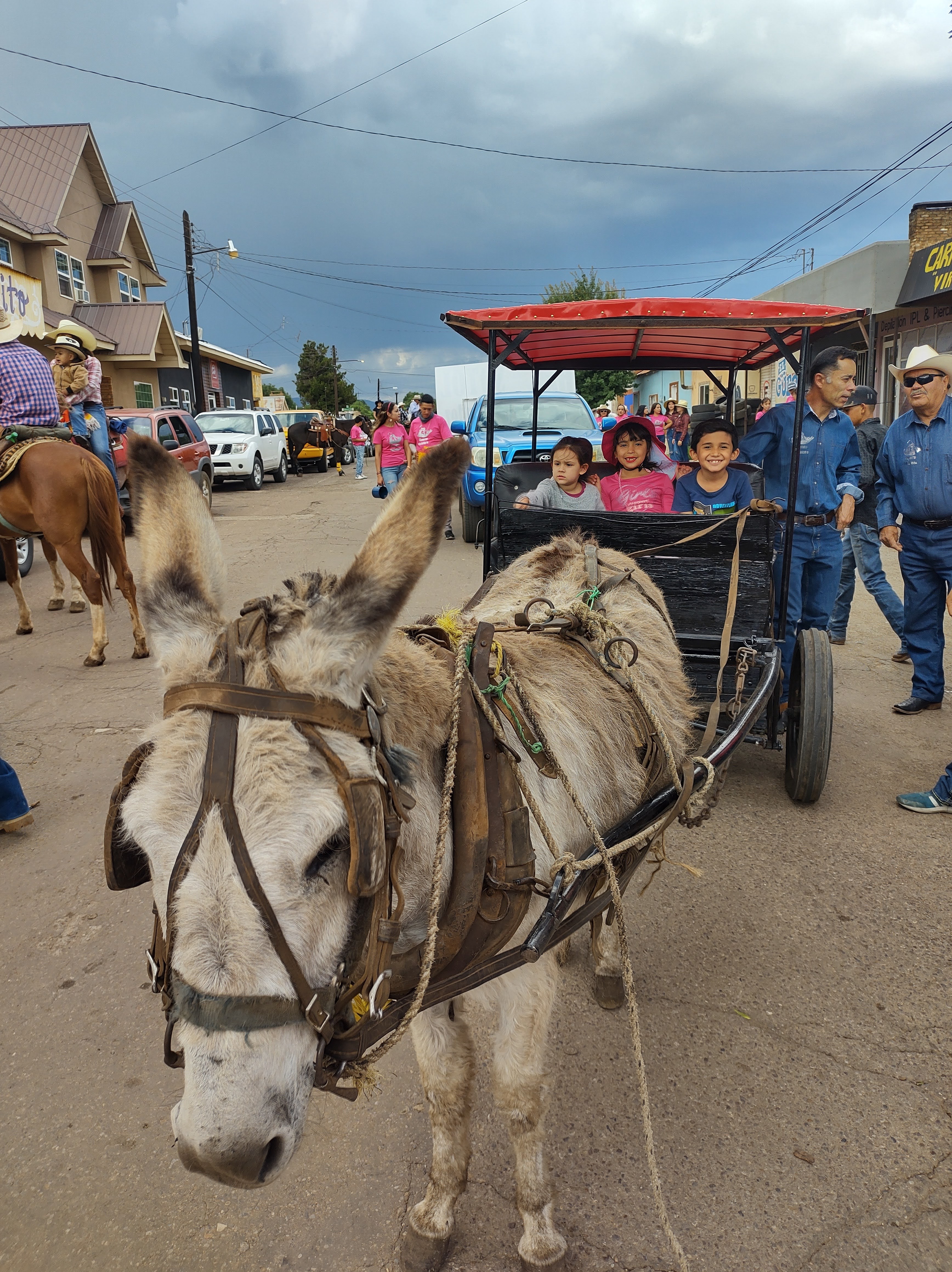 Sotoleria Fernandez image 2