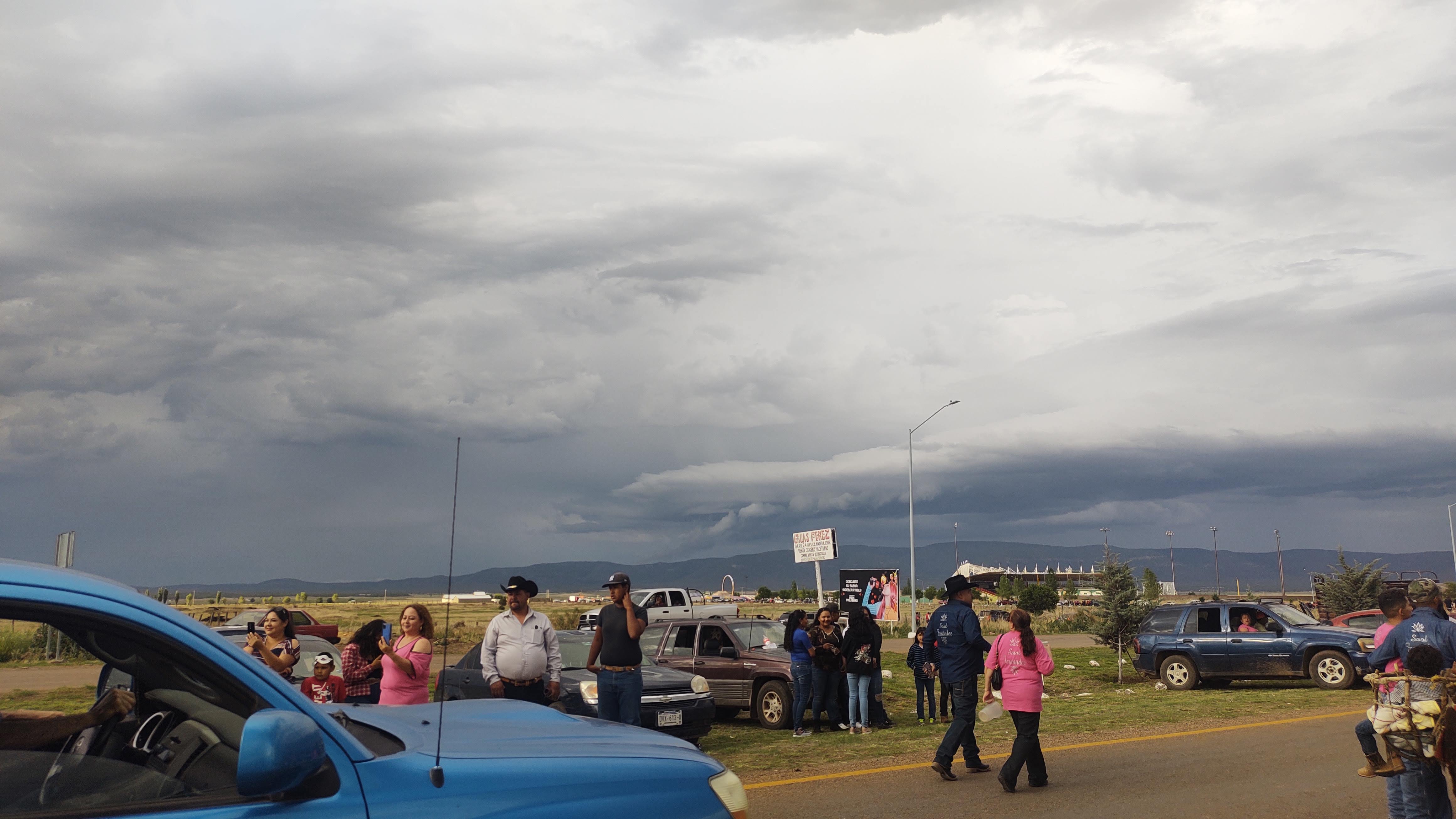 Sotoleria Fernandez image 5