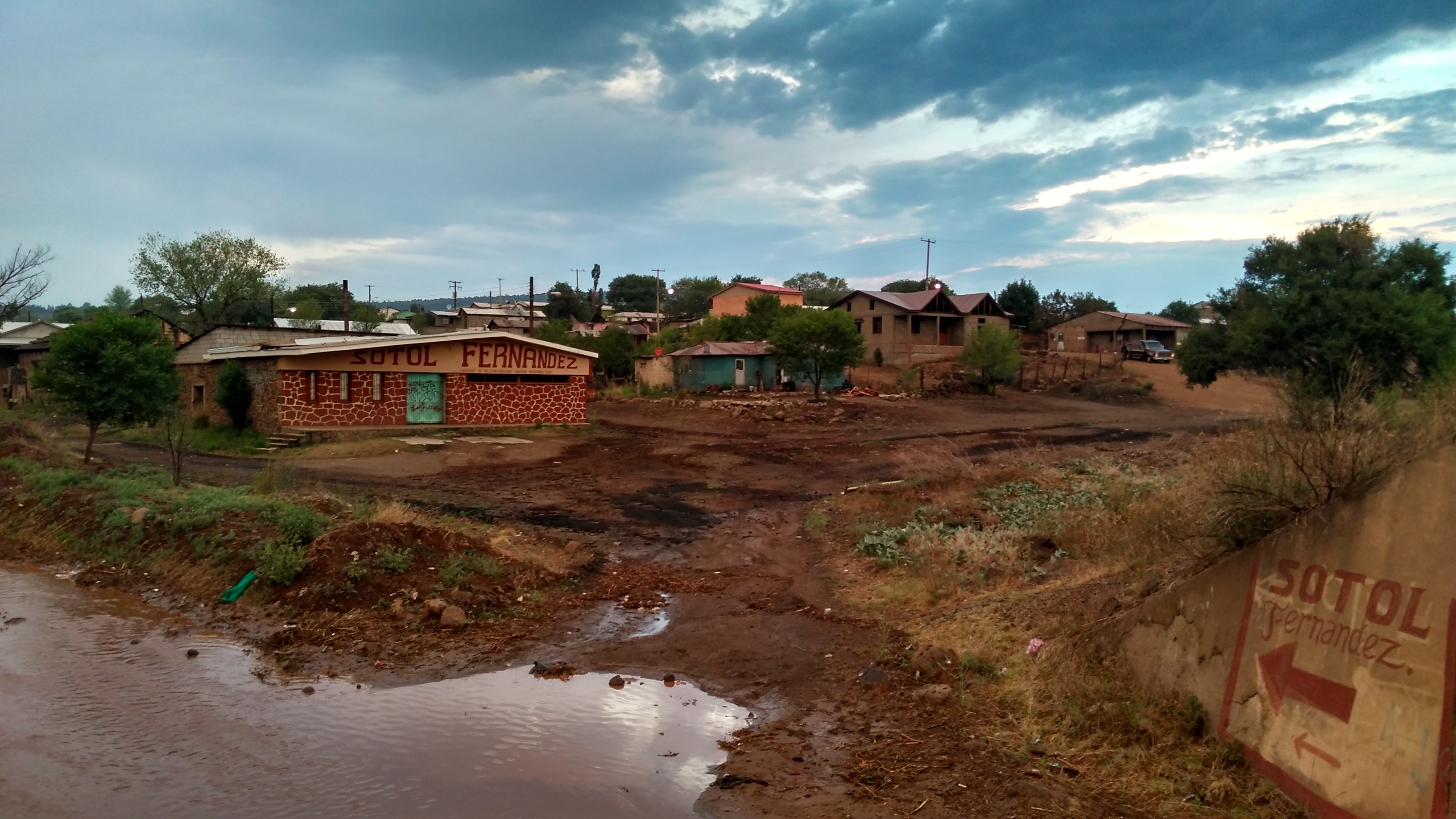 Sotoleria Fernandez image 7