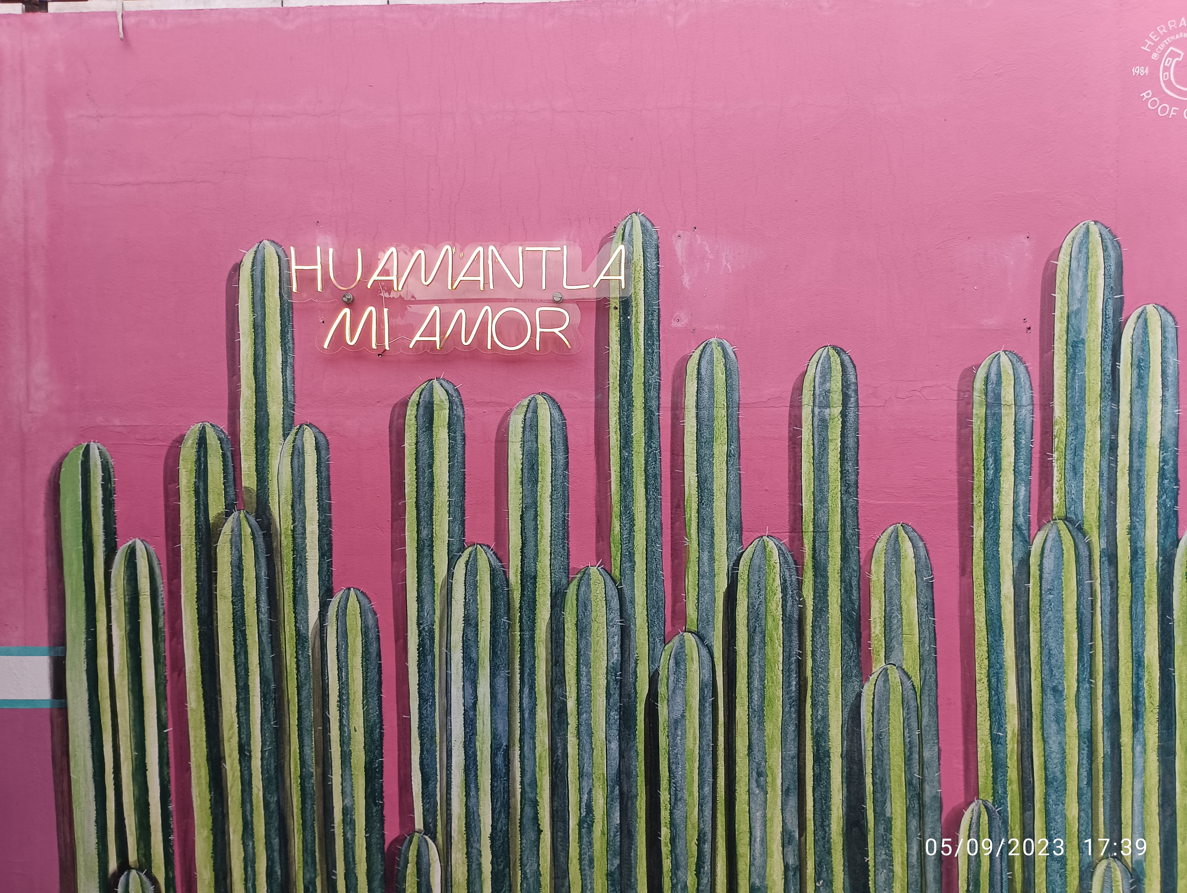 El Herradero image 5