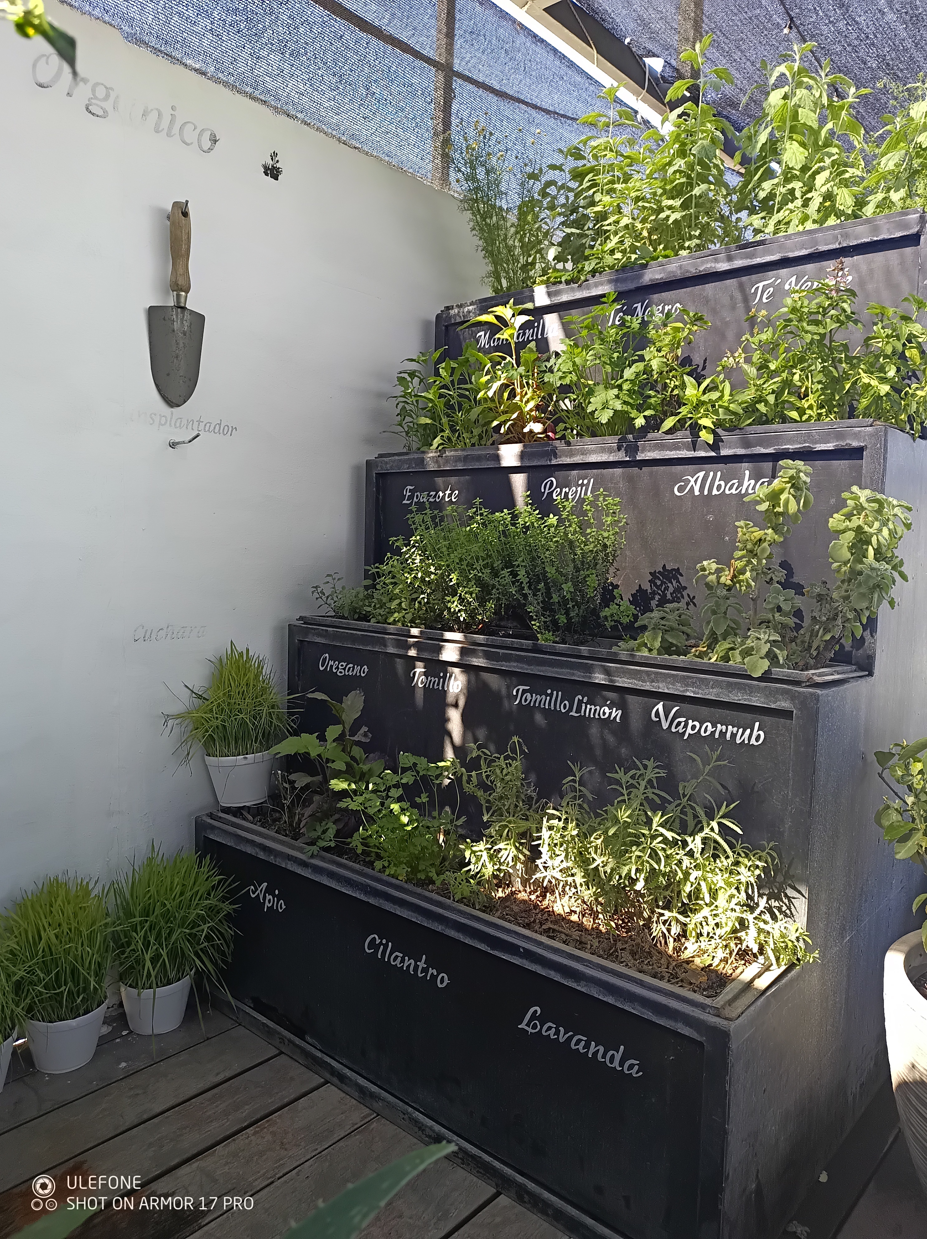 El Herradero image 9