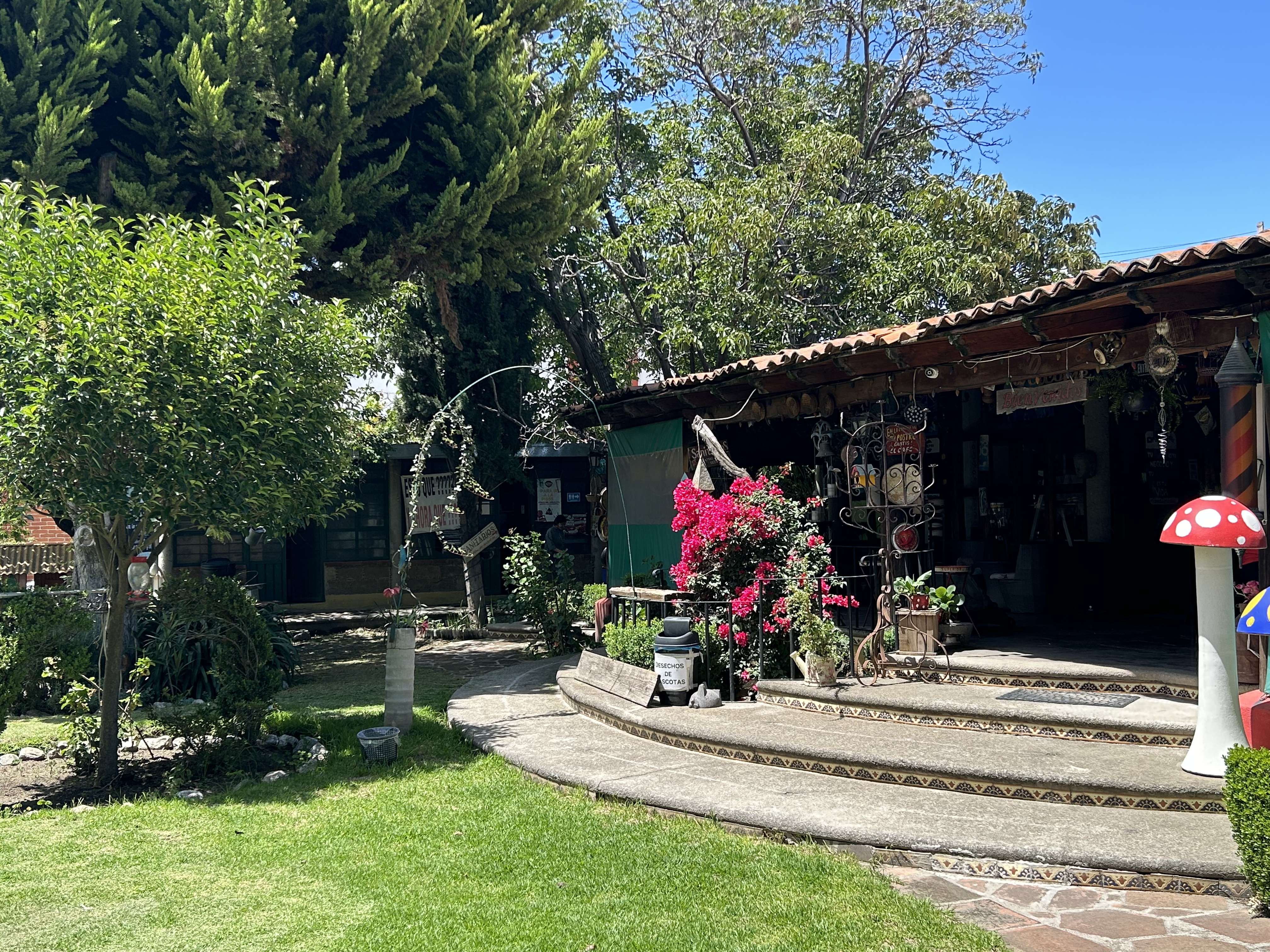 Restaurante La Magia del Jardín Añoranza en Huamantla image 7