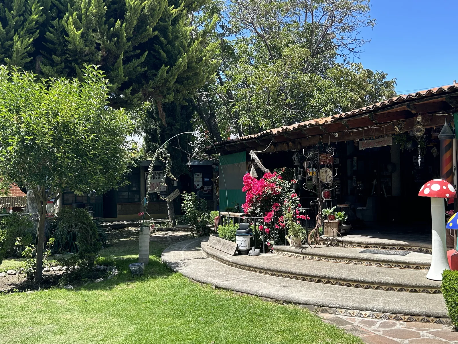 Restaurante La Magia del Jardín Añoranza en Huamantla image 7