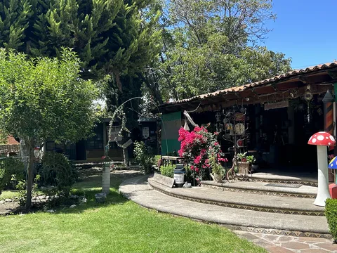 Restaurante La Magia del Jardín Añoranza en Huamantla image 7