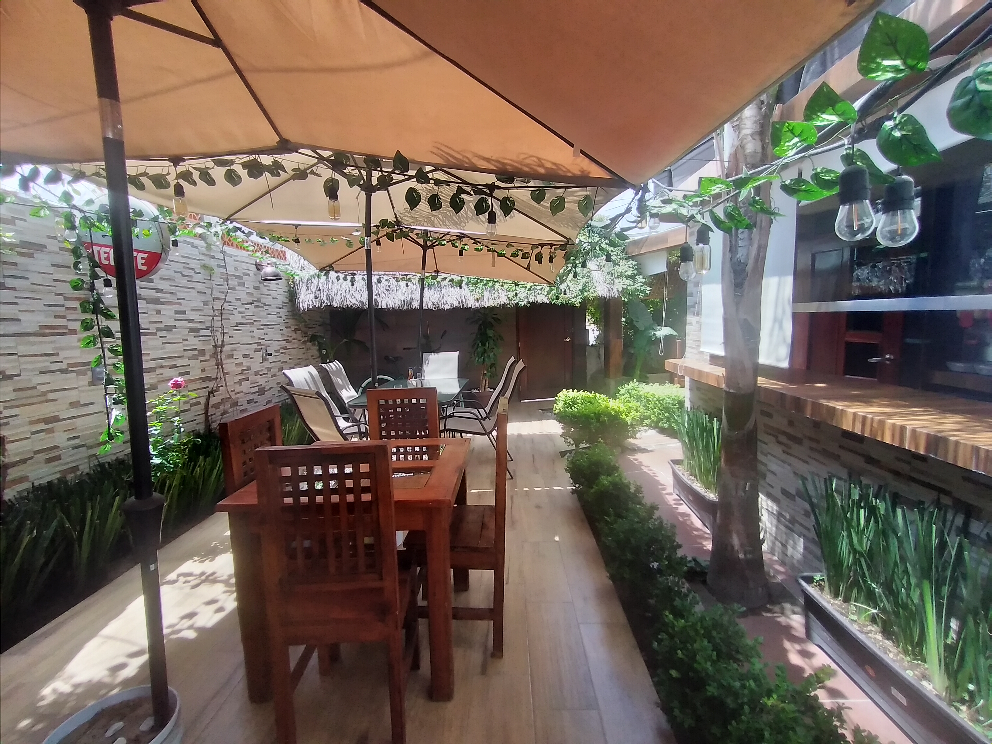 Jarochitos restaurant image 5