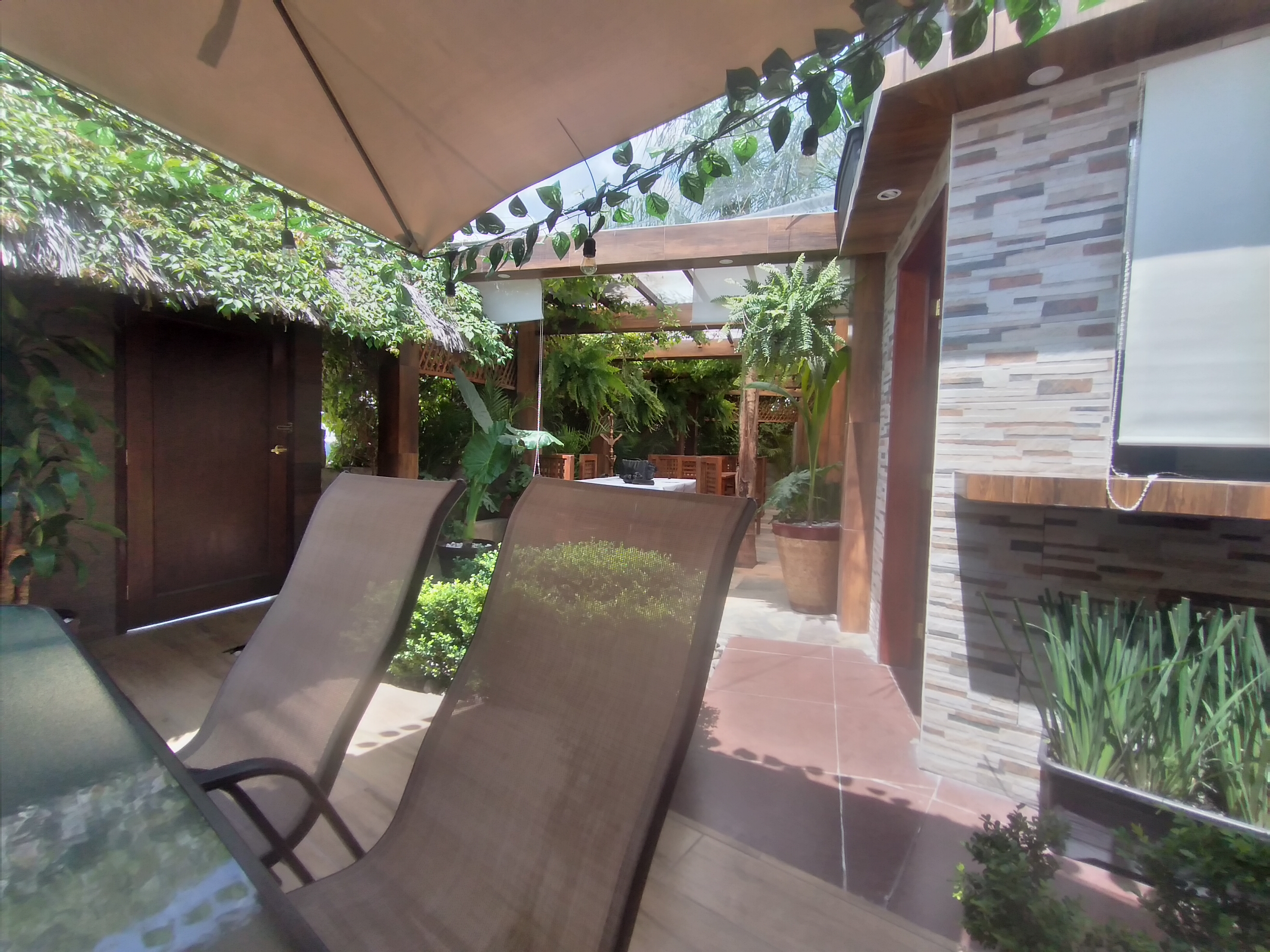 Jarochitos restaurant image 7