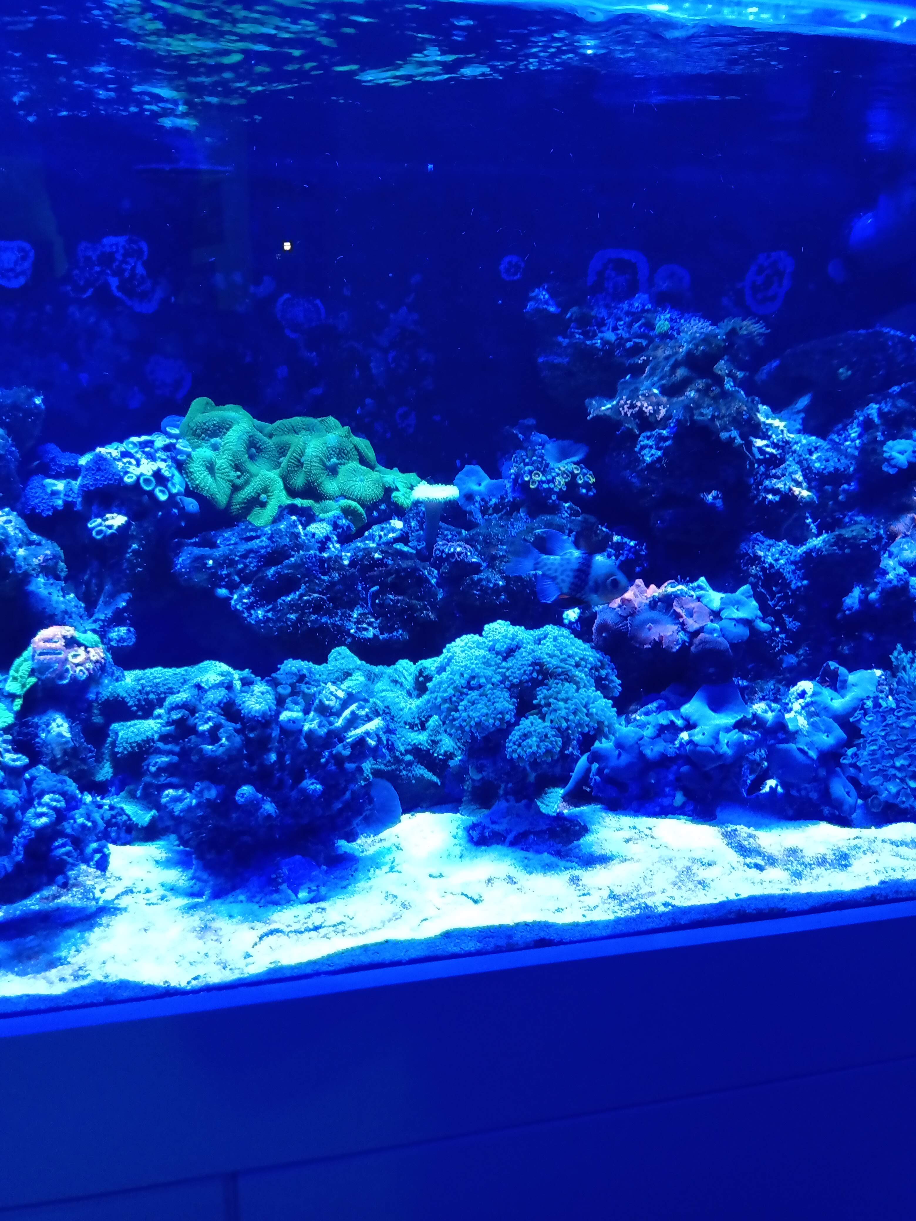 Restaurante La Trucha image 2