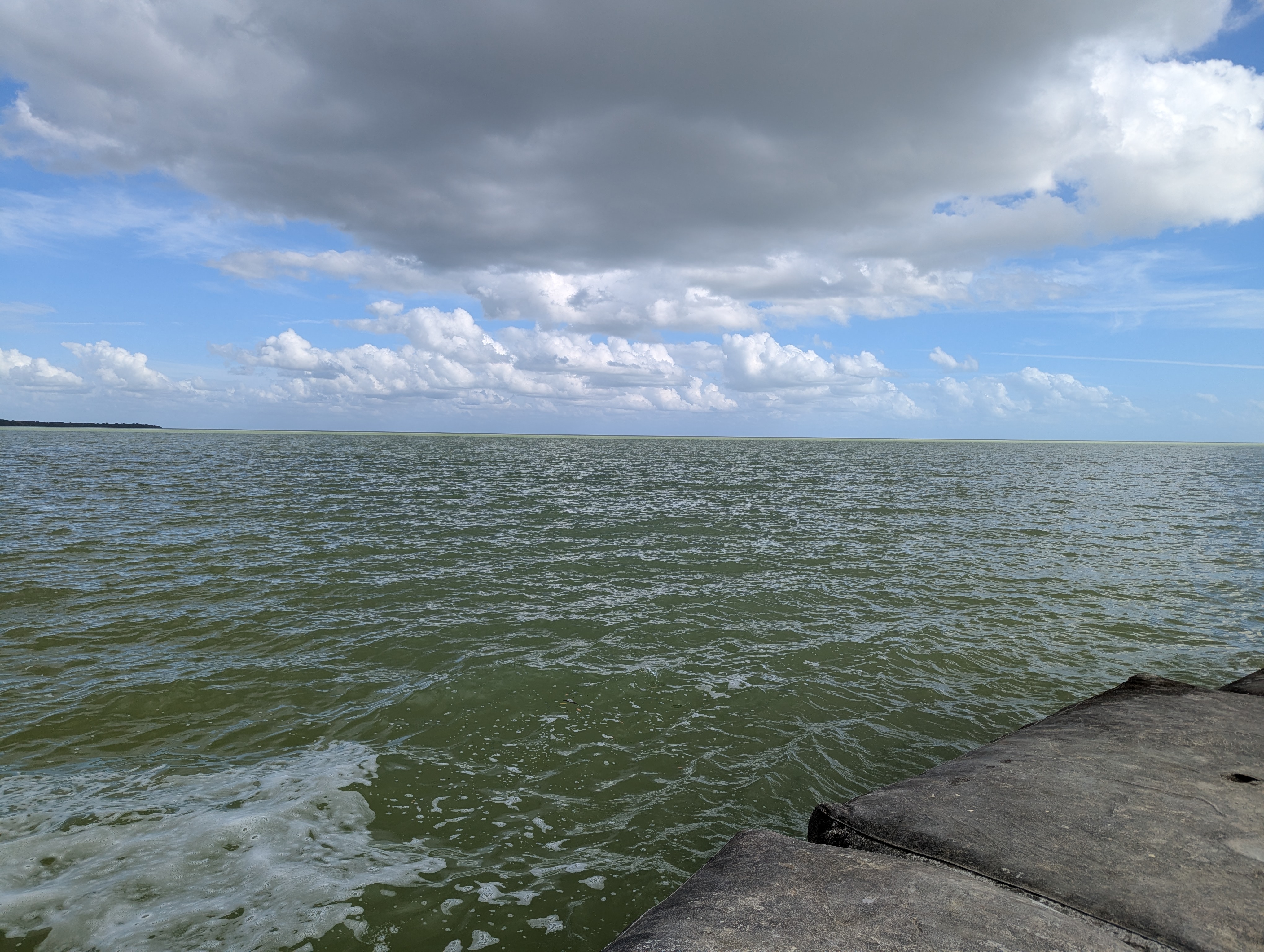 Restaurante El Delfín image 3