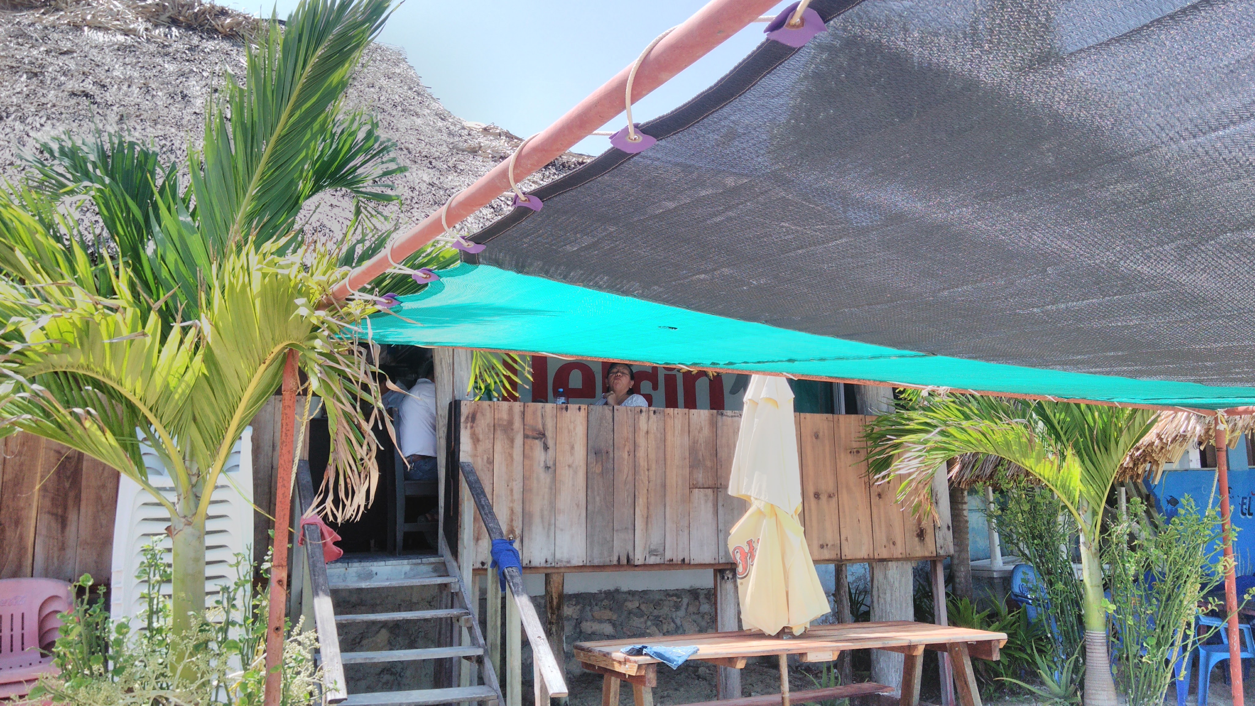 Restaurante El Delfín image 8