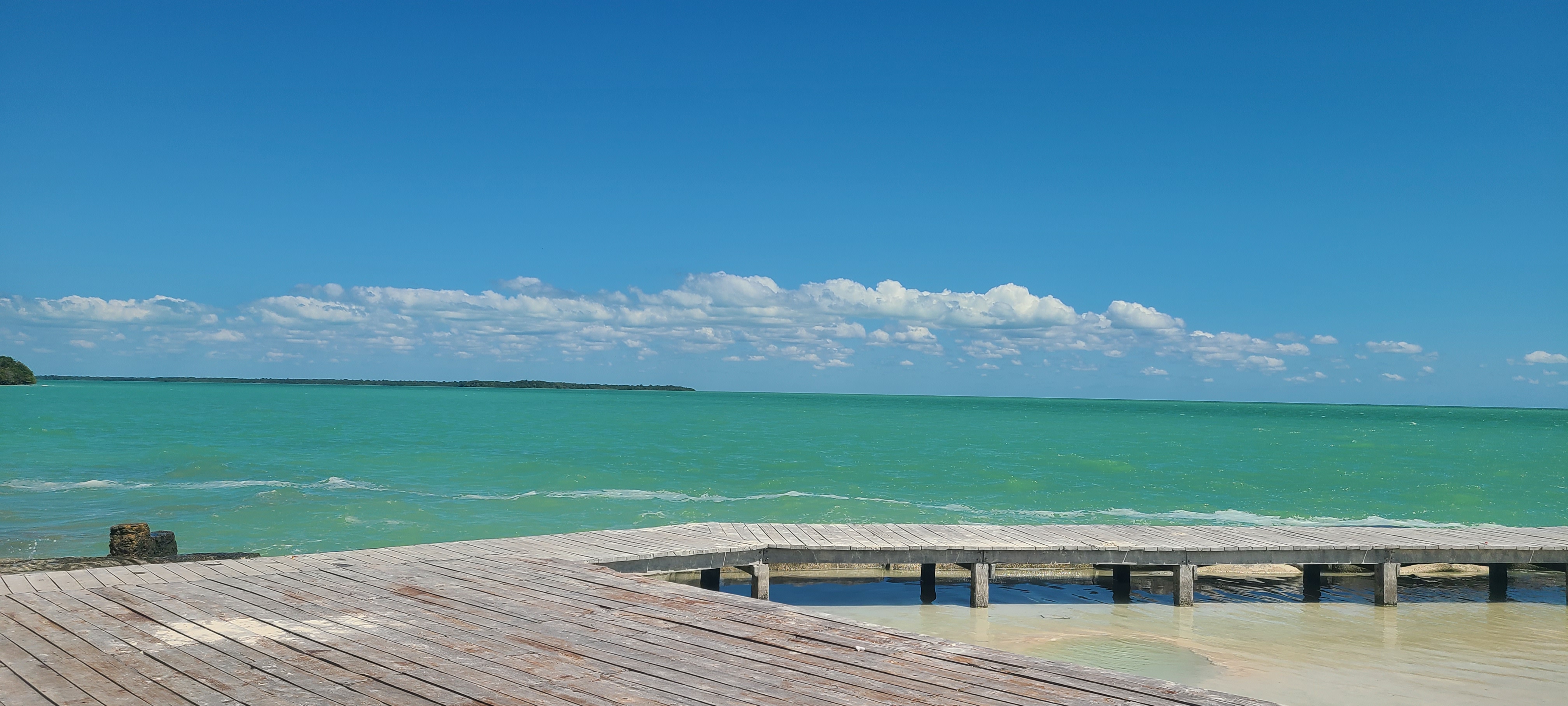 Restaurant El Santuario Del Manatí image 3
