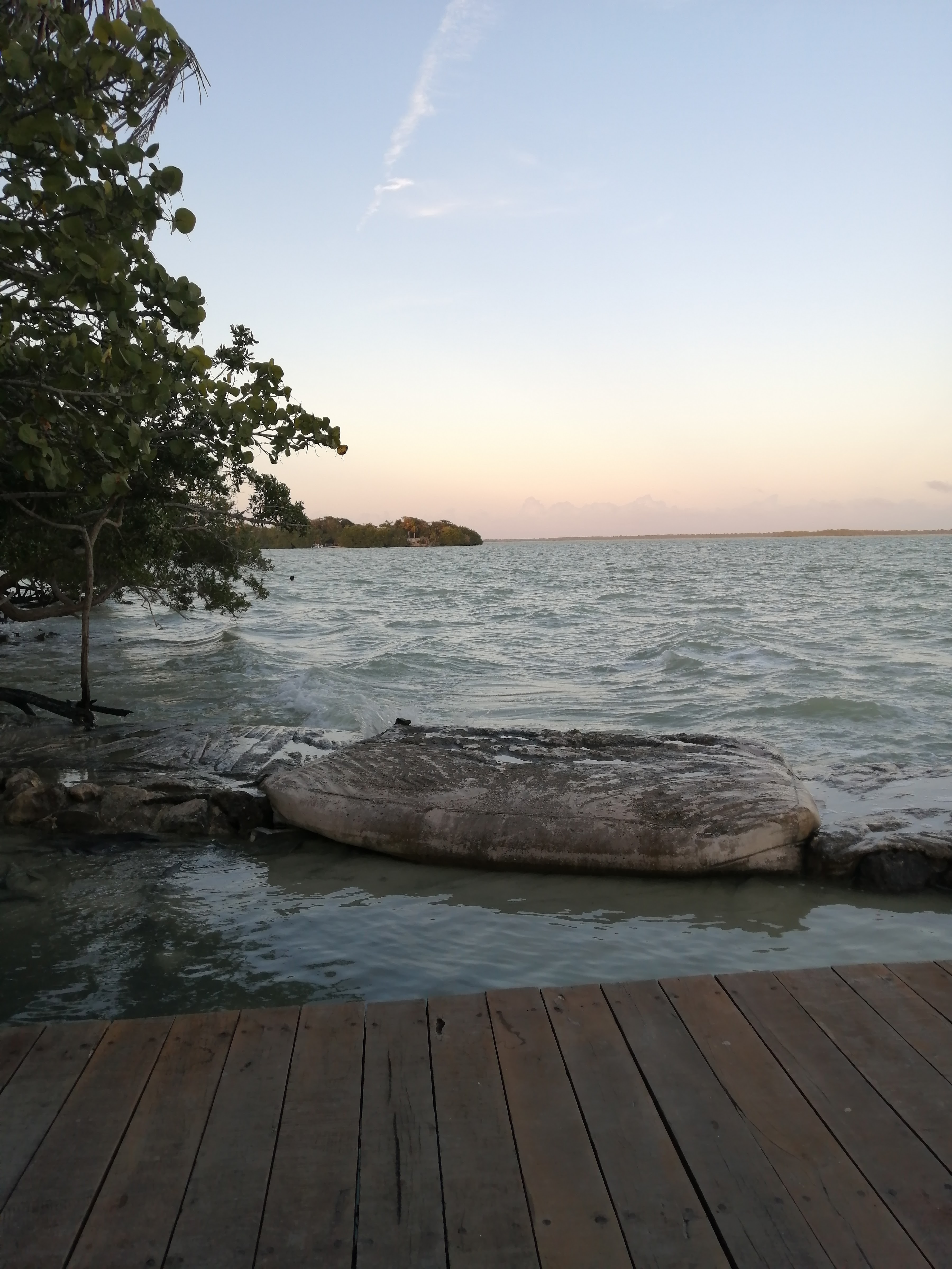 Restaurant El Santuario Del Manatí image 6