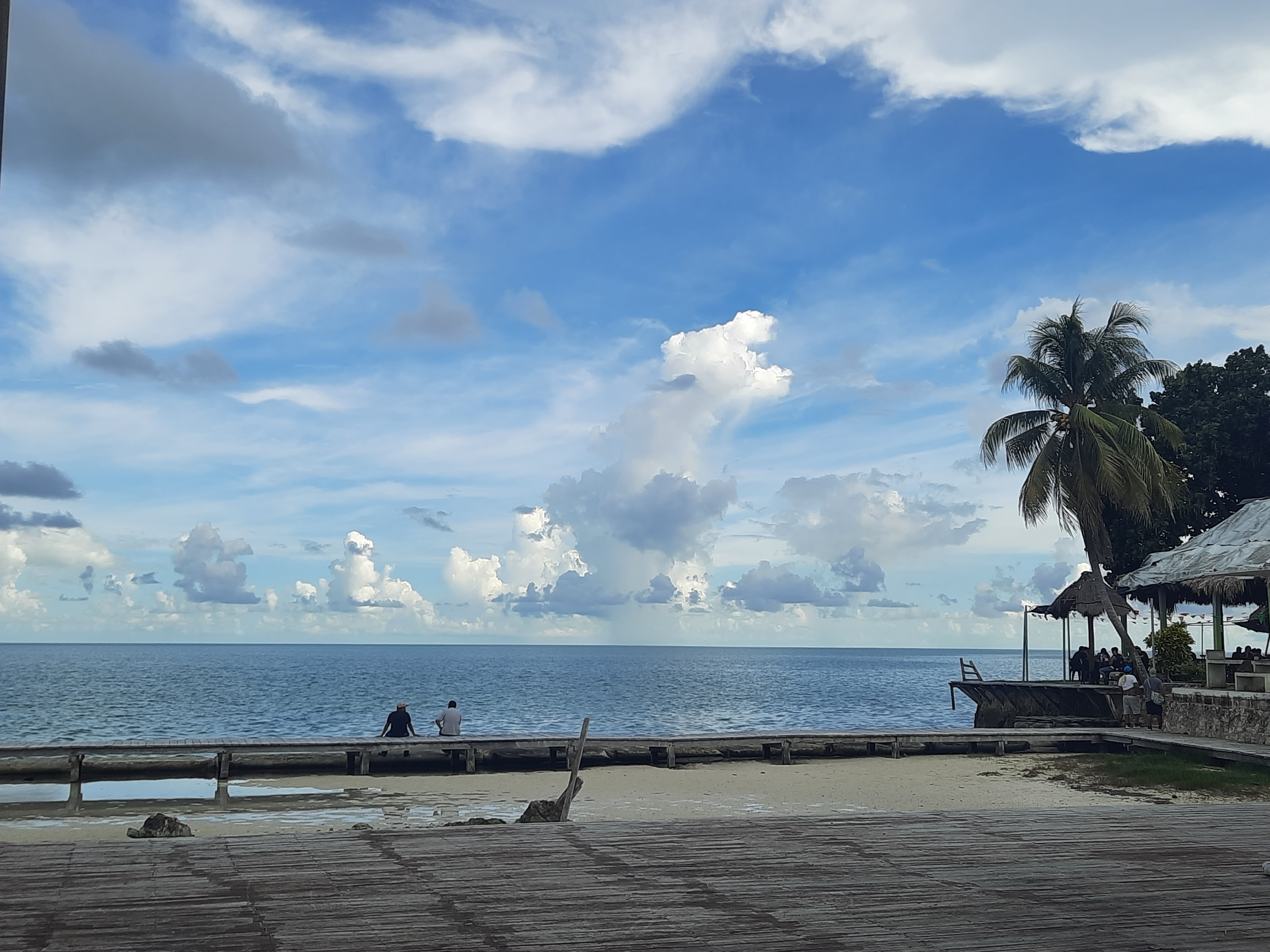 Restaurant El Santuario Del Manatí image 7