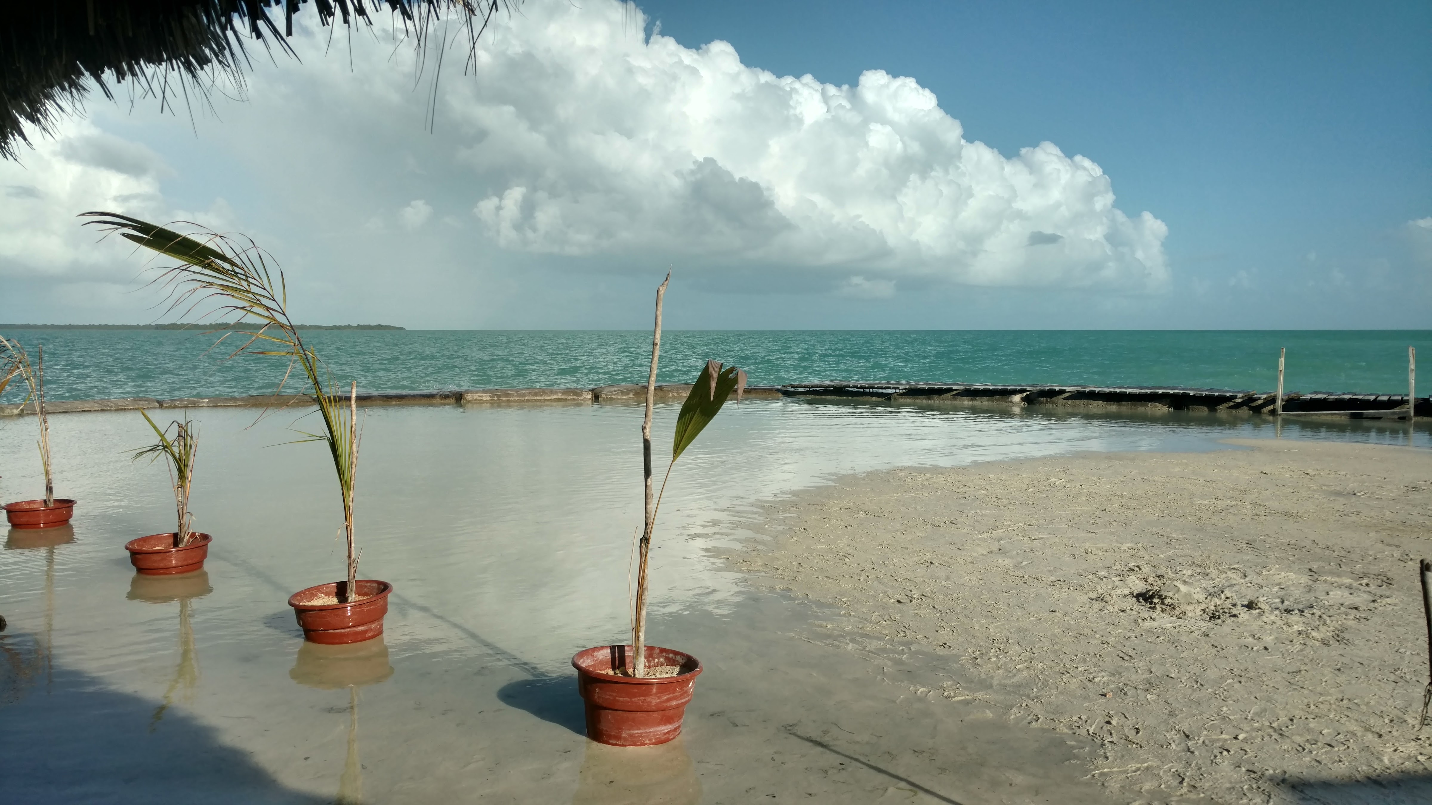 Restaurant El Santuario Del Manatí image 10
