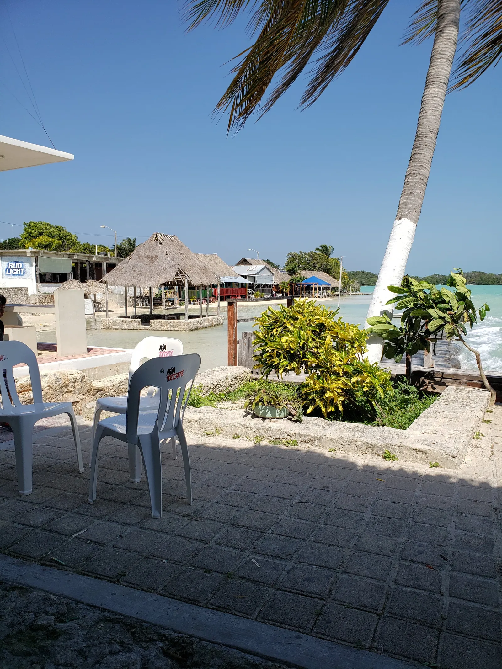 Restaurante La Uva image 1
