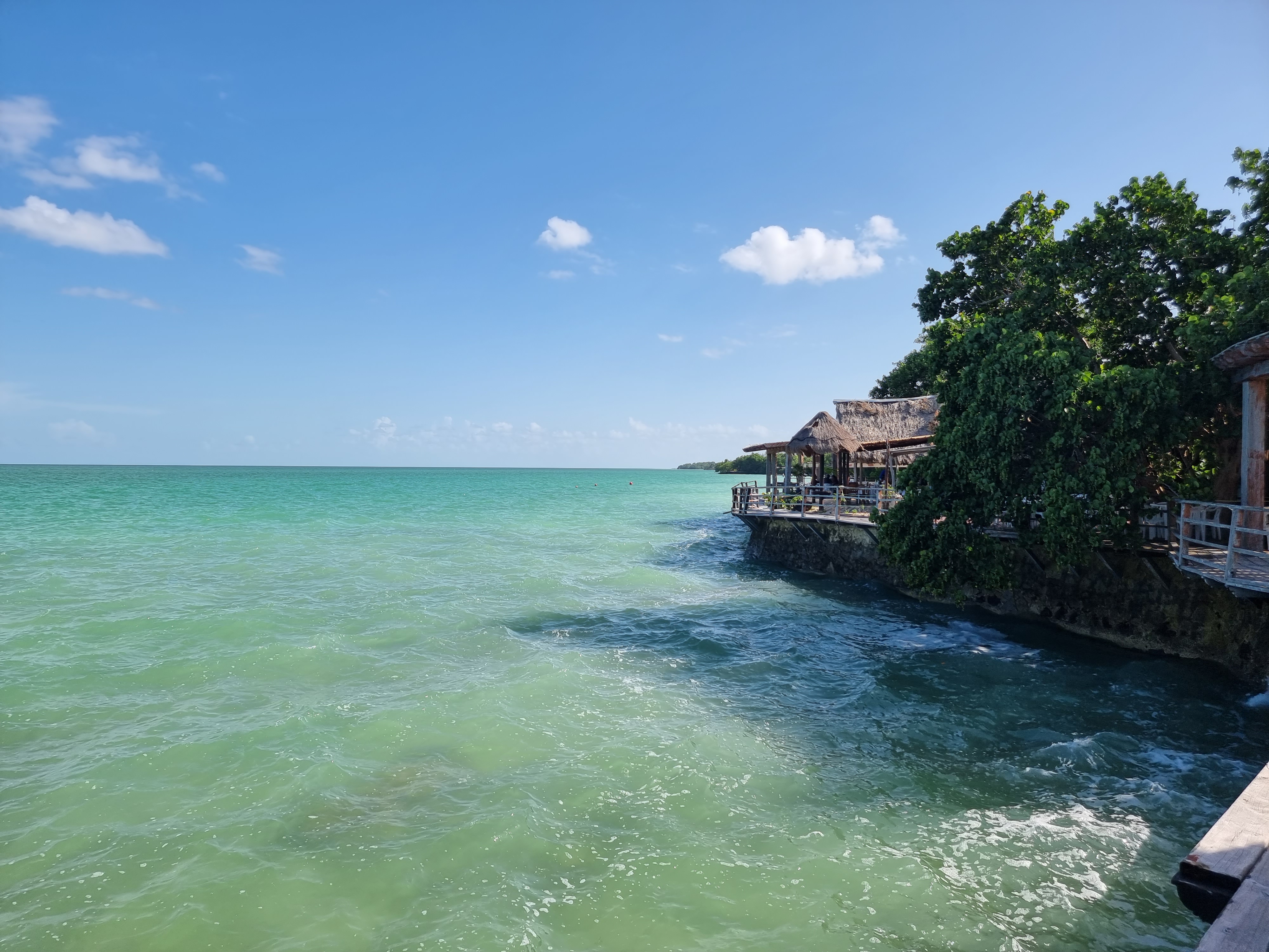 Restaurante La Uva image 7