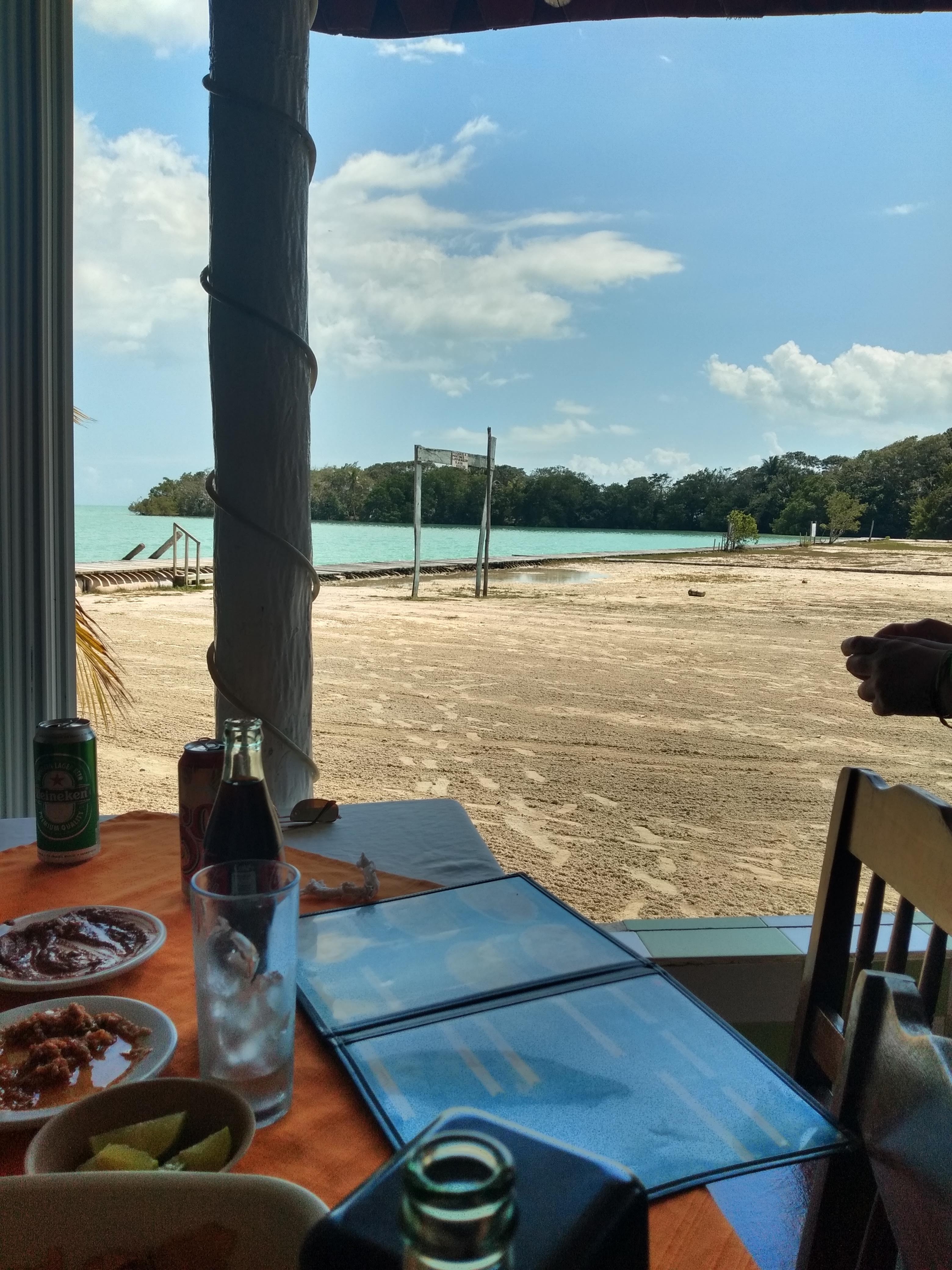 El Rincón de las Tortugas image 1