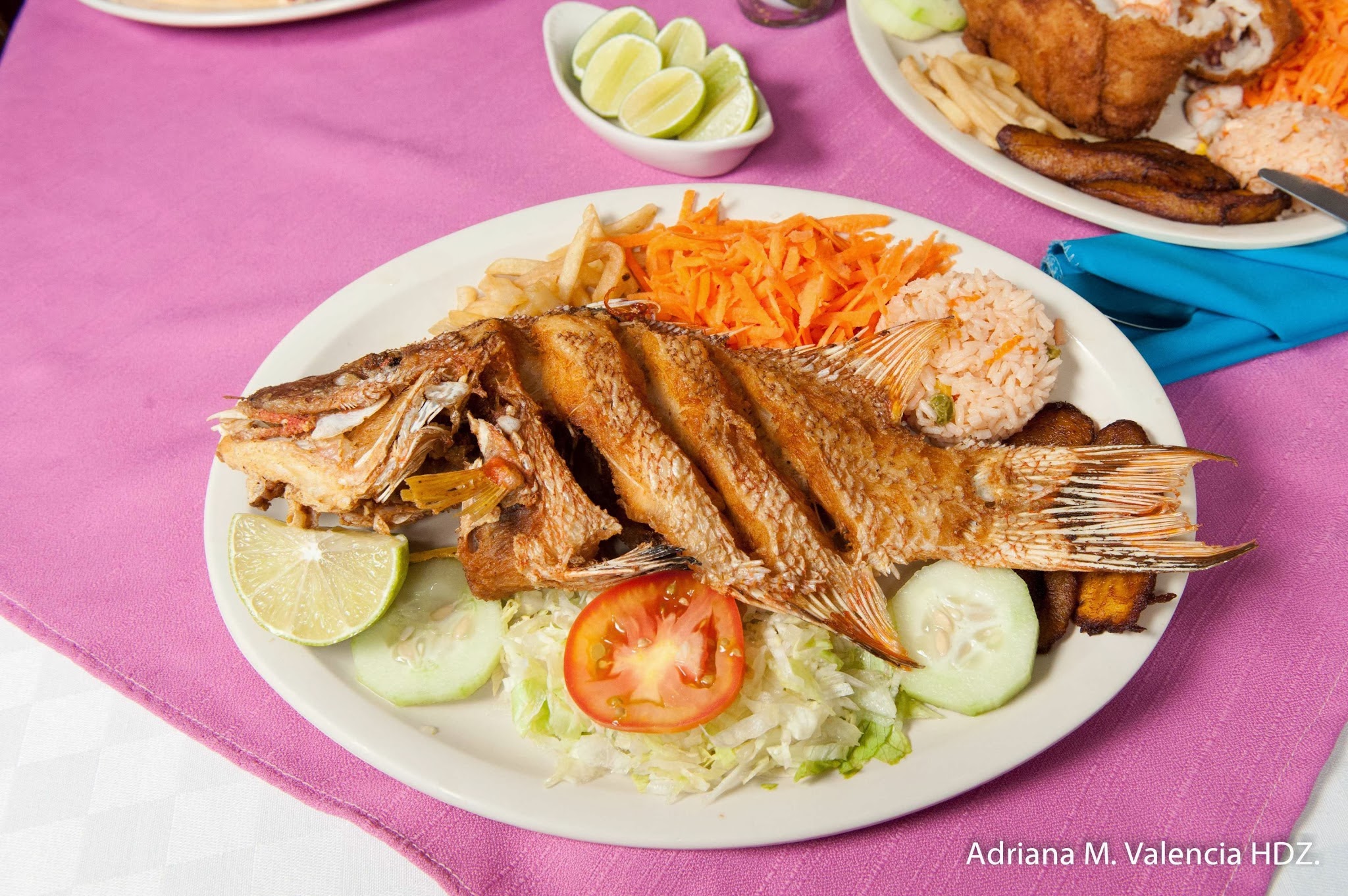 El Rincón de las Tortugas image 2