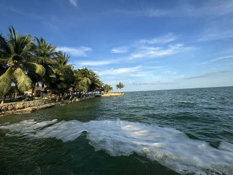 El Rincón de las Tortugas image 4