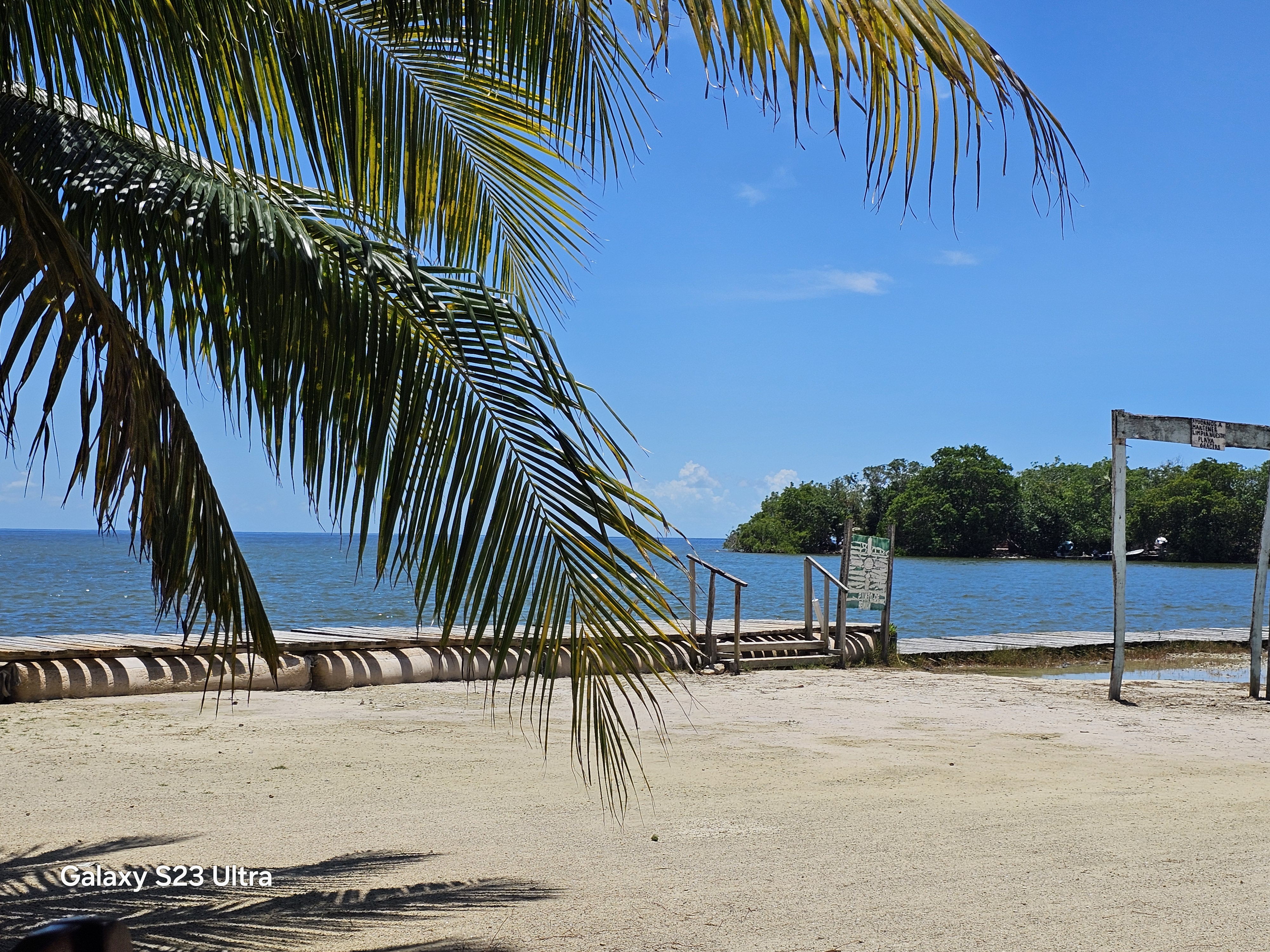 El Rincón de las Tortugas image 5