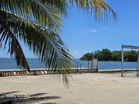El Rincón de las Tortugas image 5
