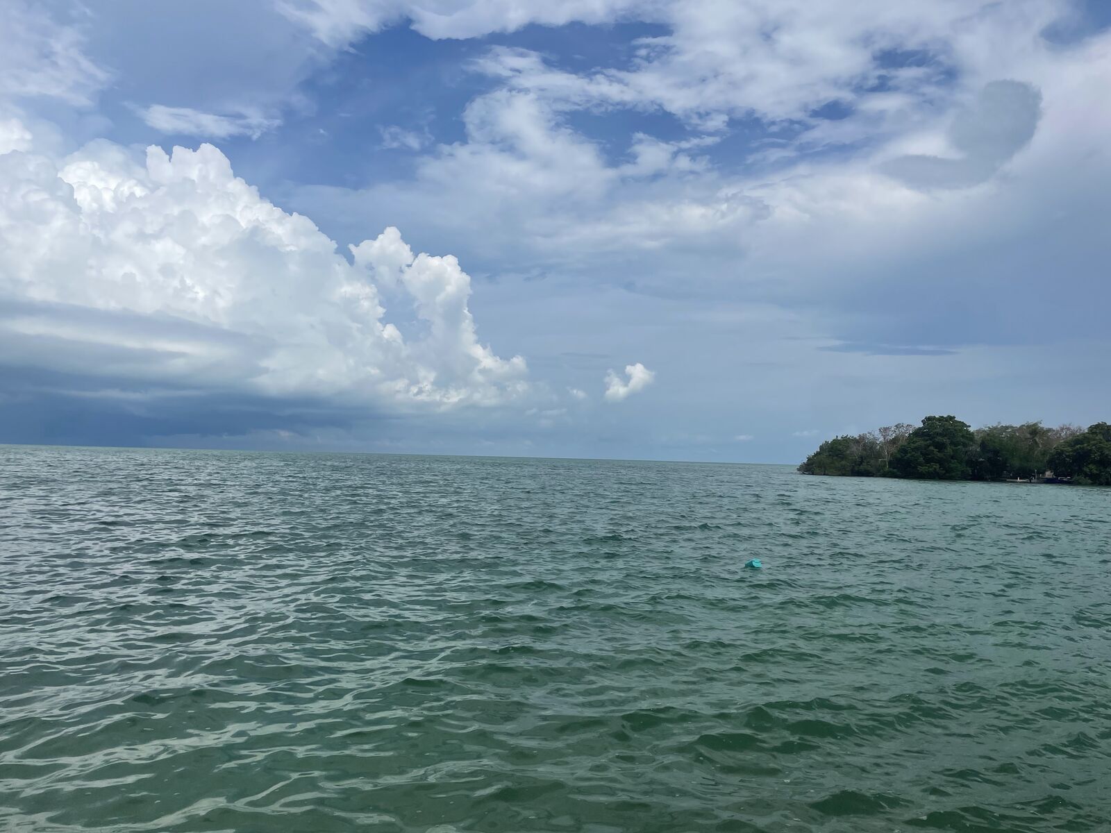 El Rincón de las Tortugas image 8