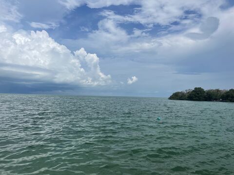 El Rincón de las Tortugas image 8
