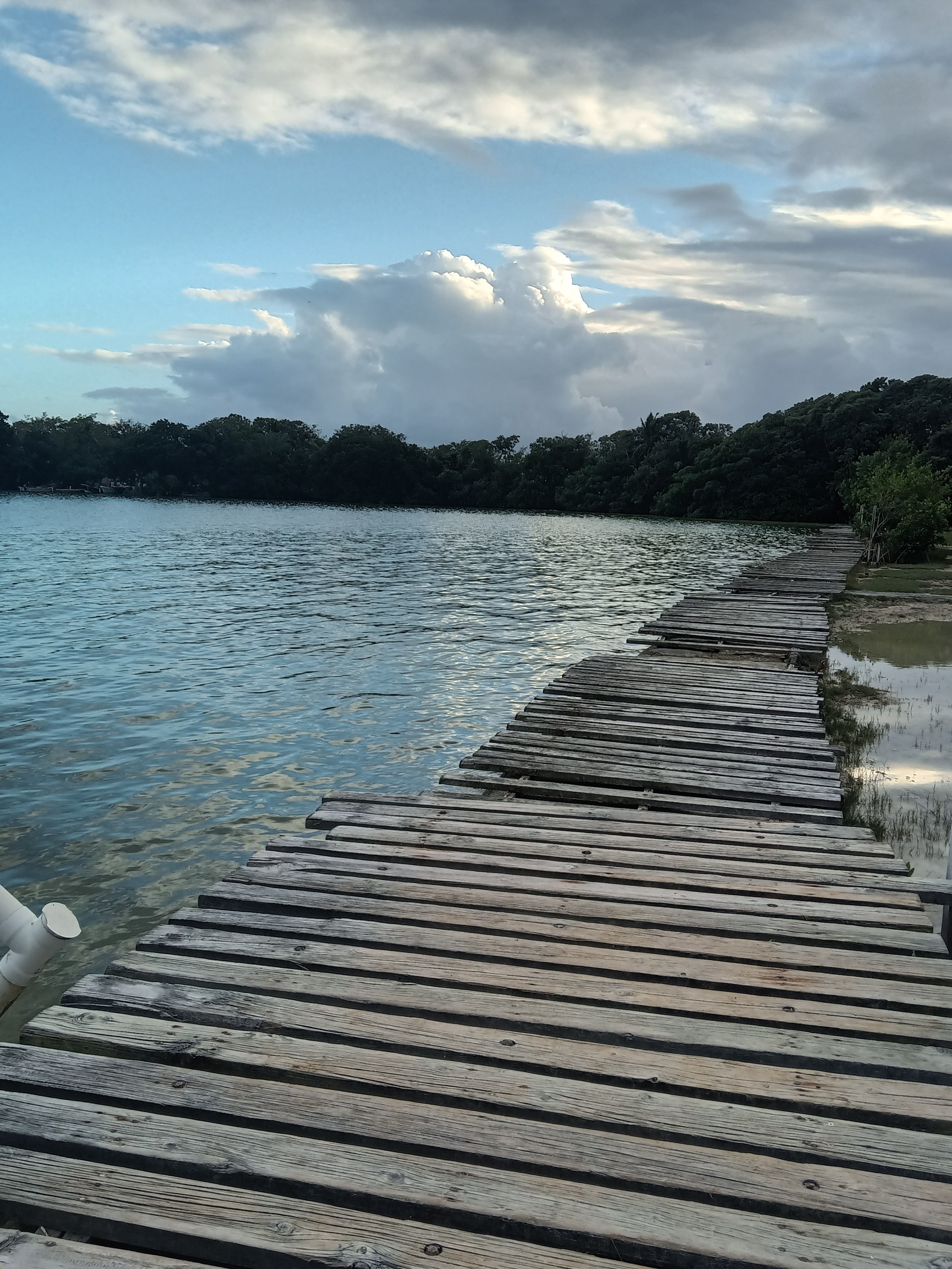 El Rincón de las Tortugas image 9