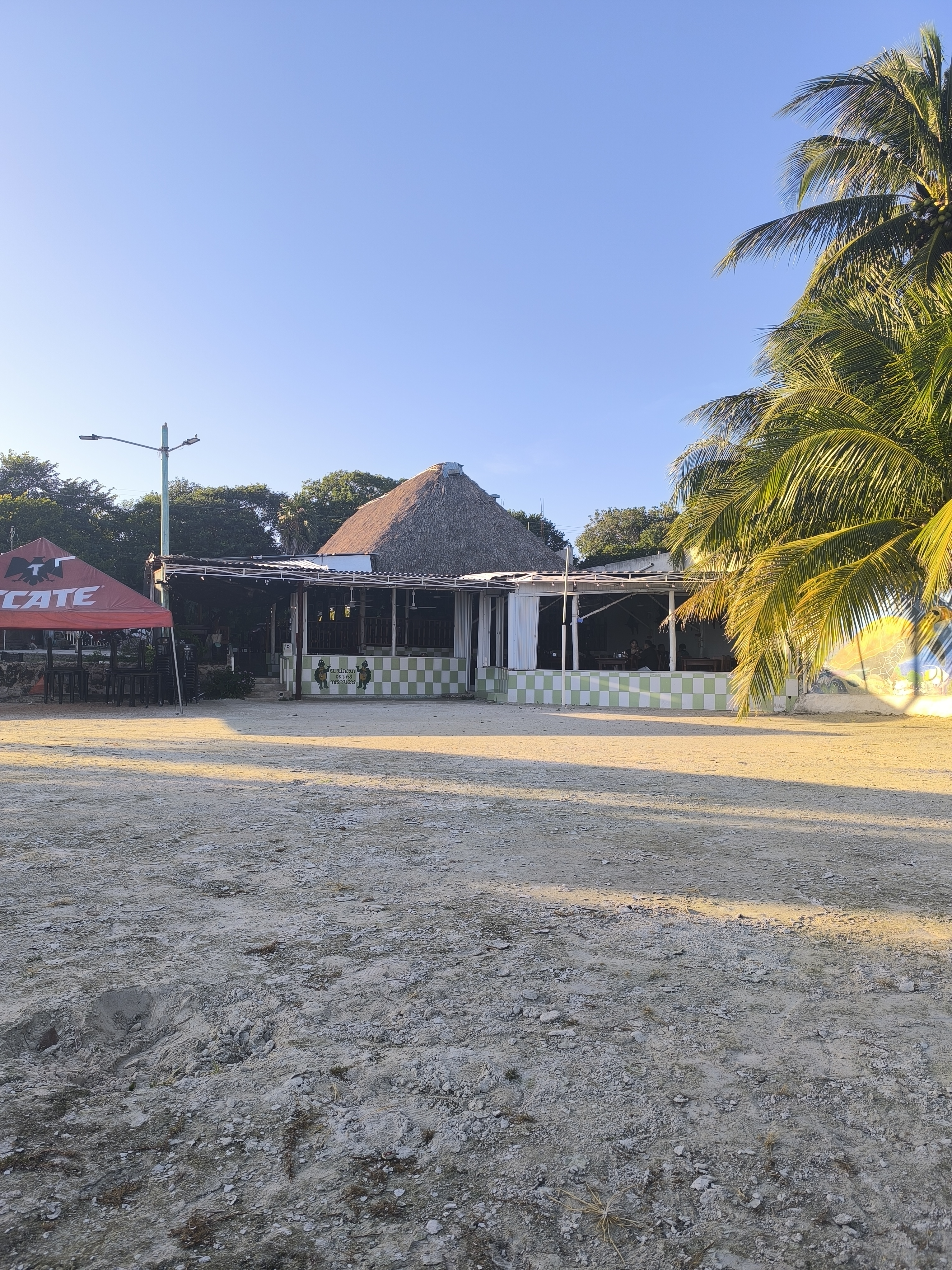 El Rincón de las Tortugas image 10