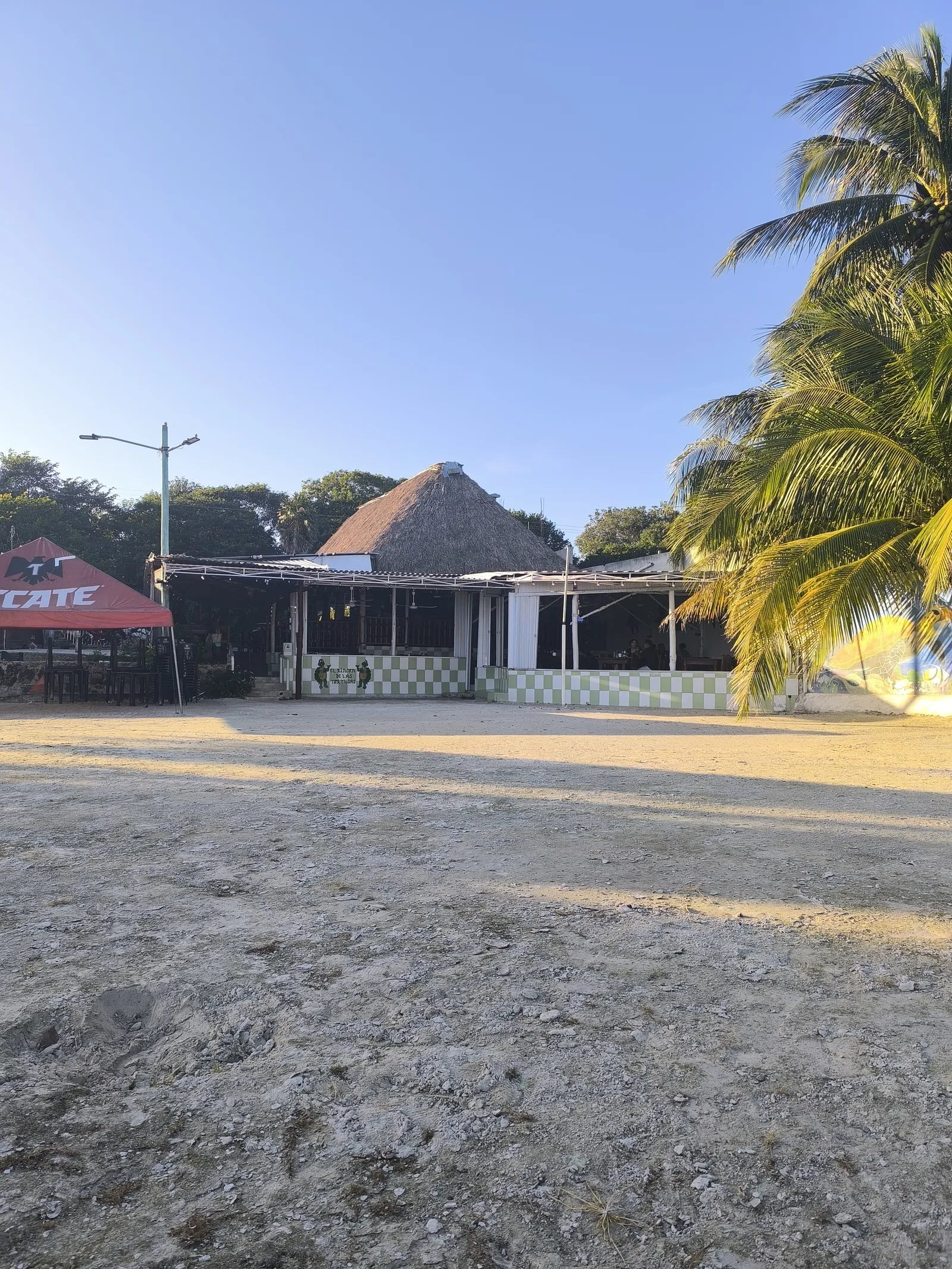 El Rincón de las Tortugas image 10