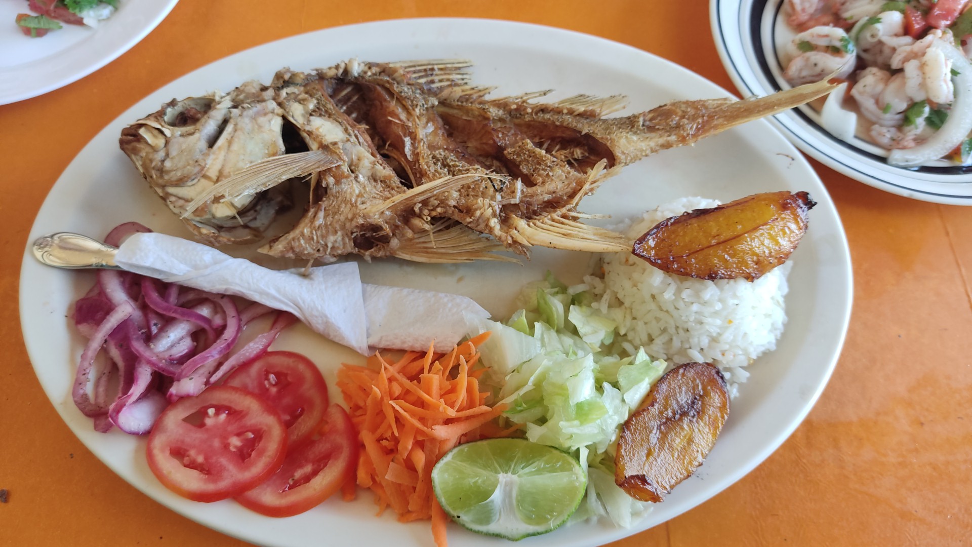 El Pez de Oro image 2