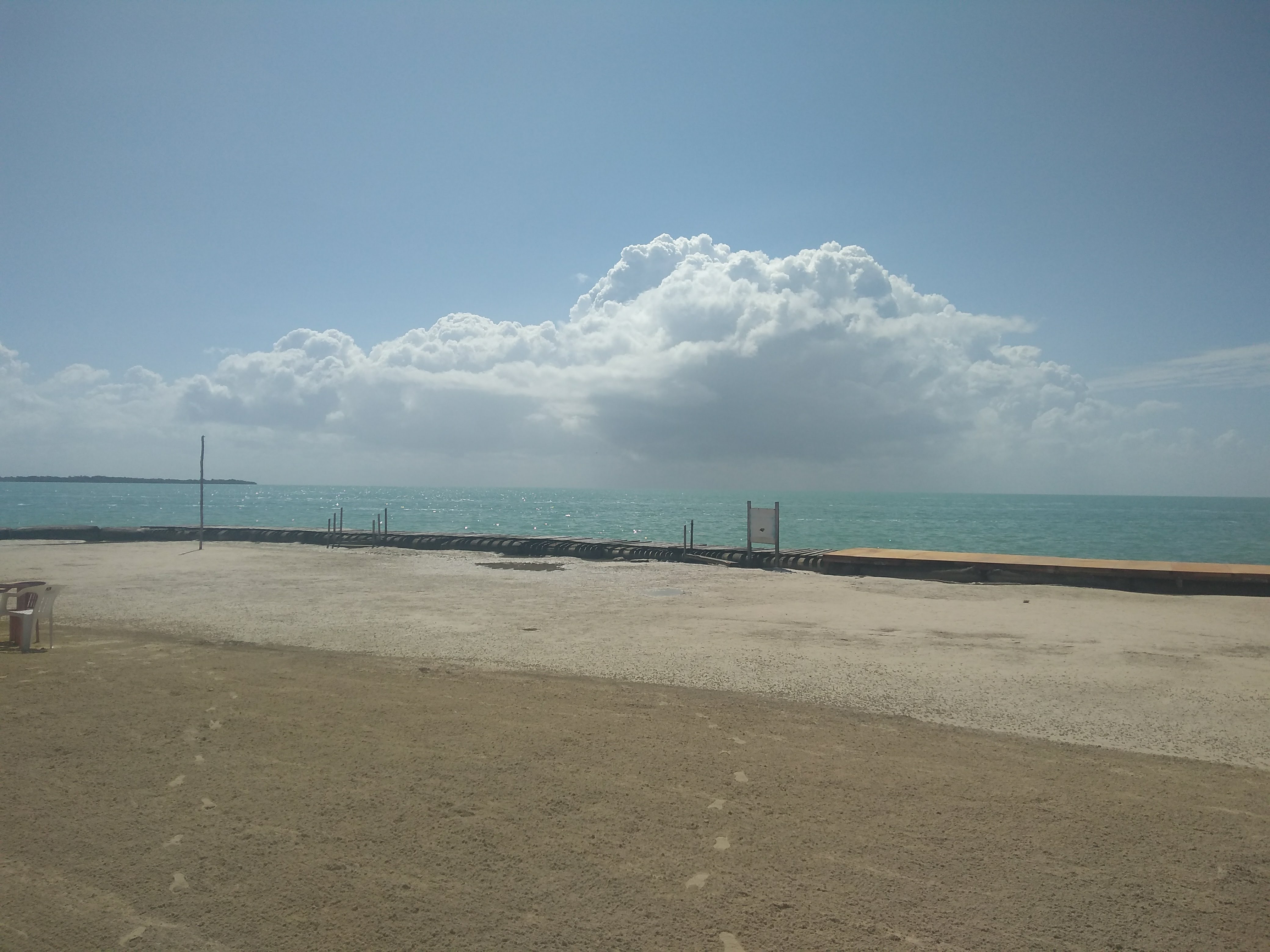 El Pez de Oro image 3