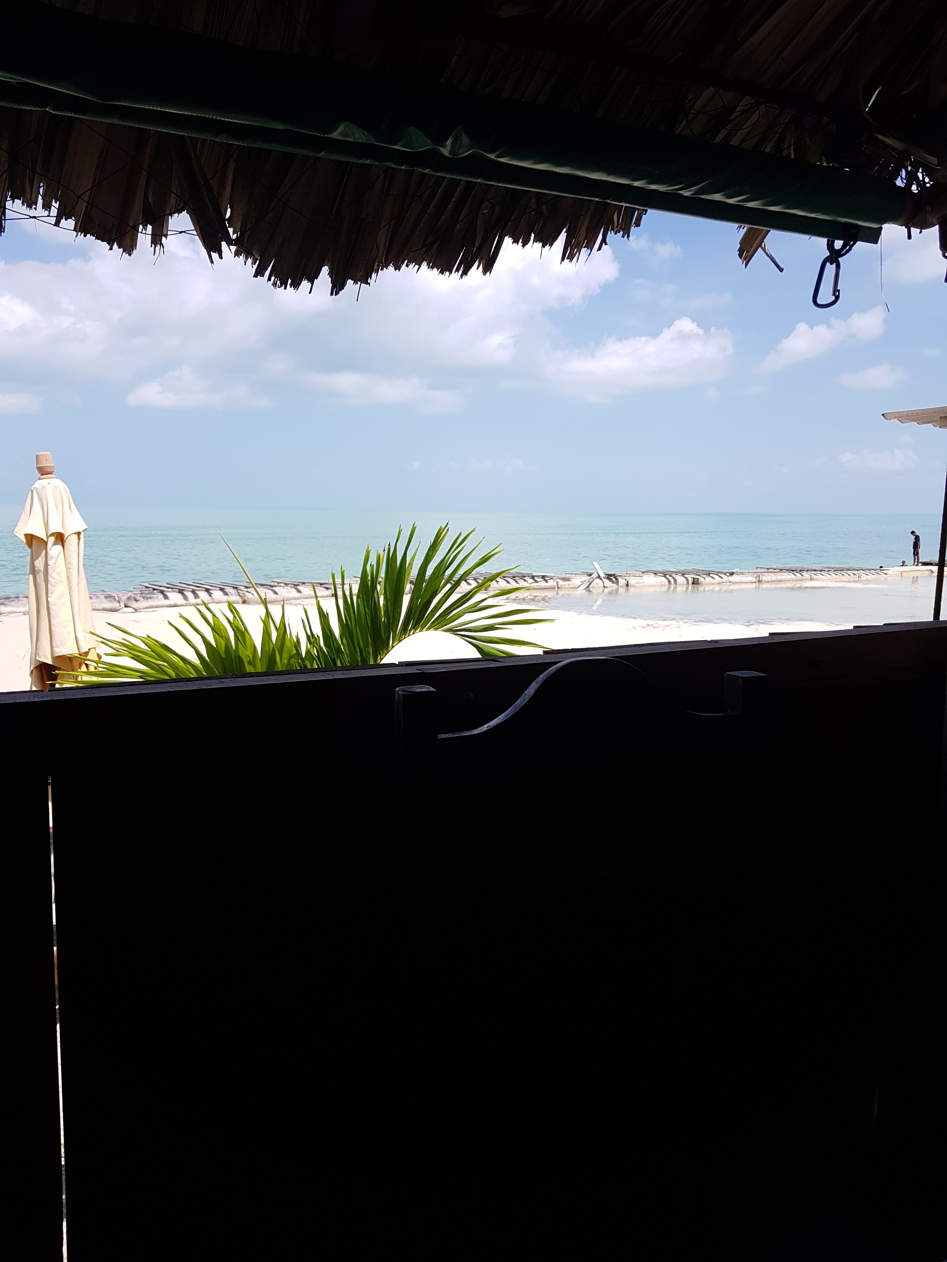 El Pez de Oro image 4