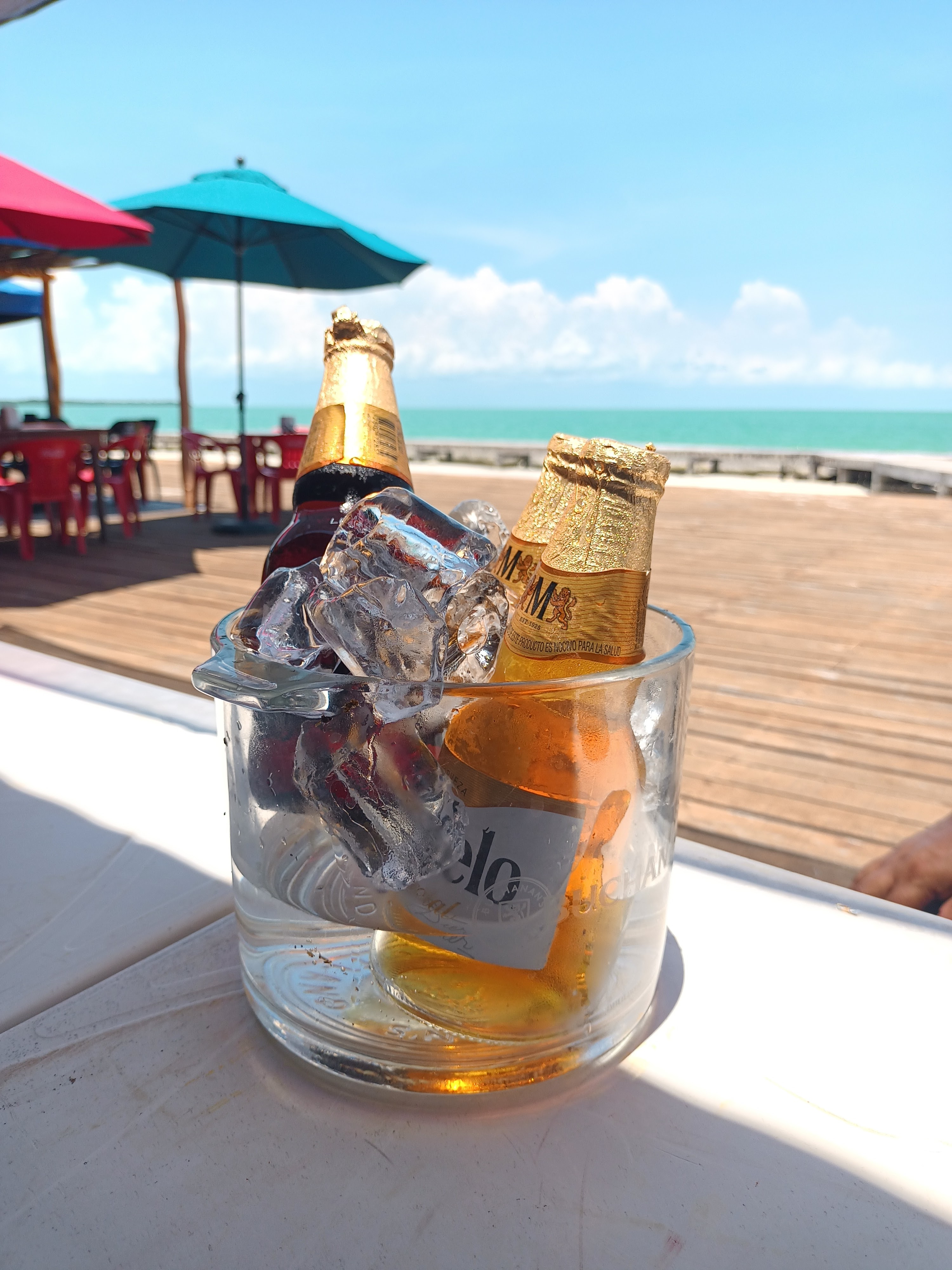 El Pez de Oro image 5