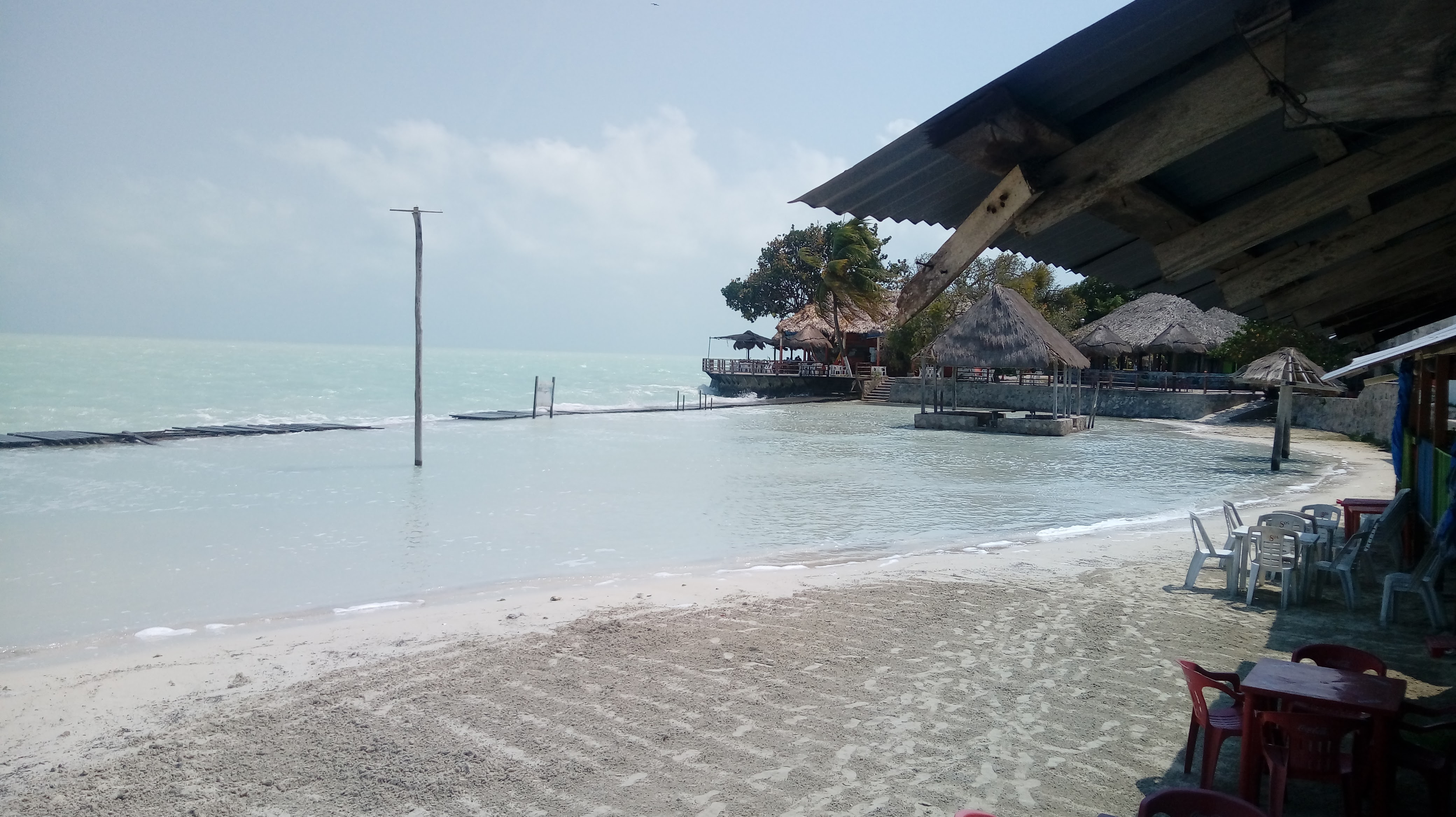 El Pez de Oro image 7