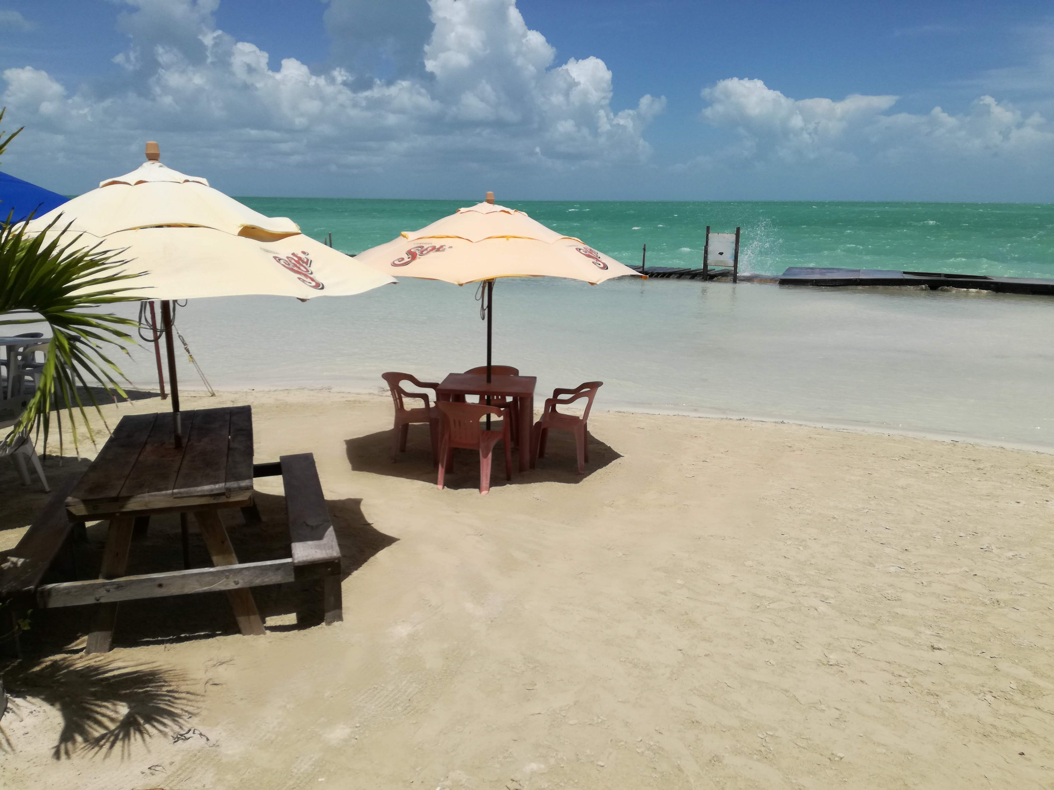 El Pez de Oro image 10